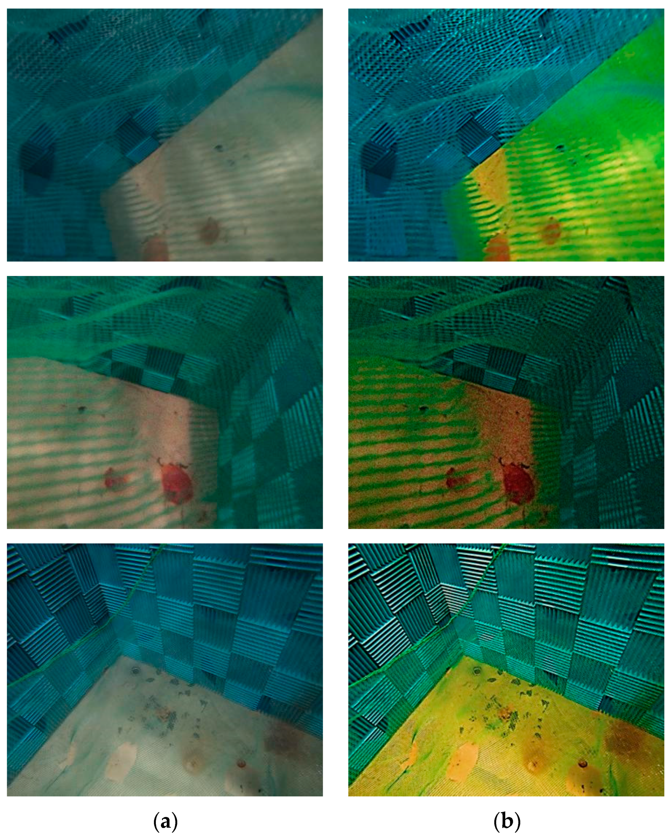 Applsci 14 06461 g007