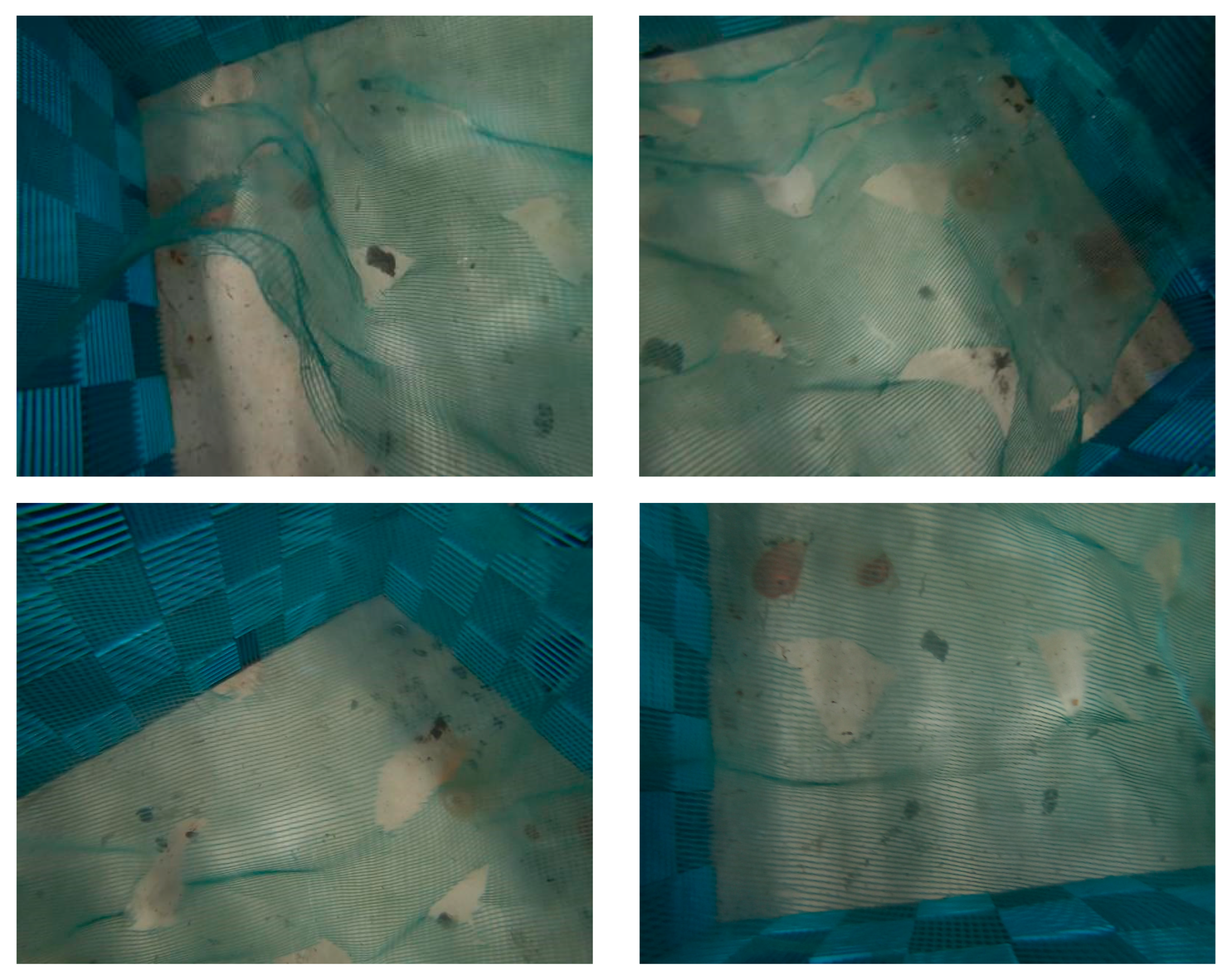 Applsci 14 06461 g008