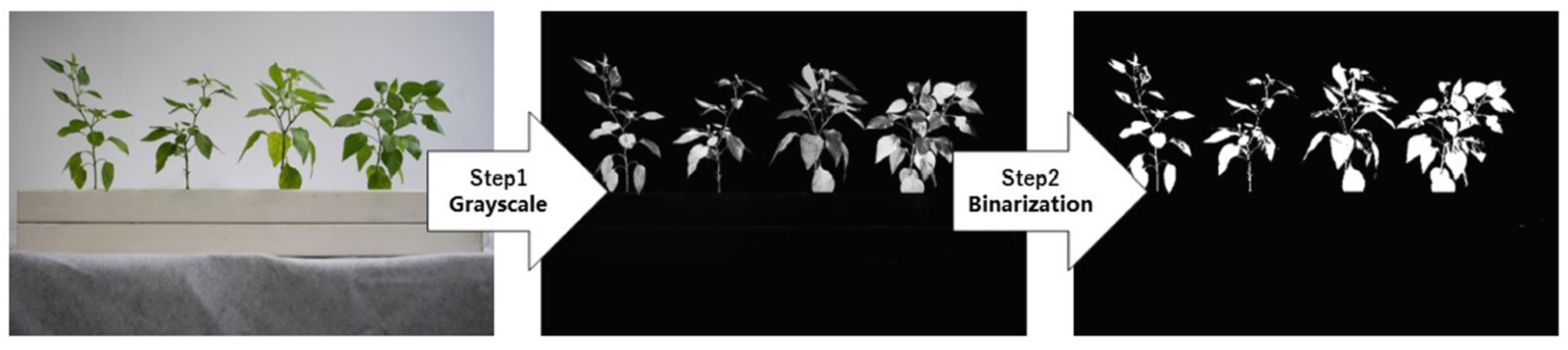 Applsci 14 06469 g006