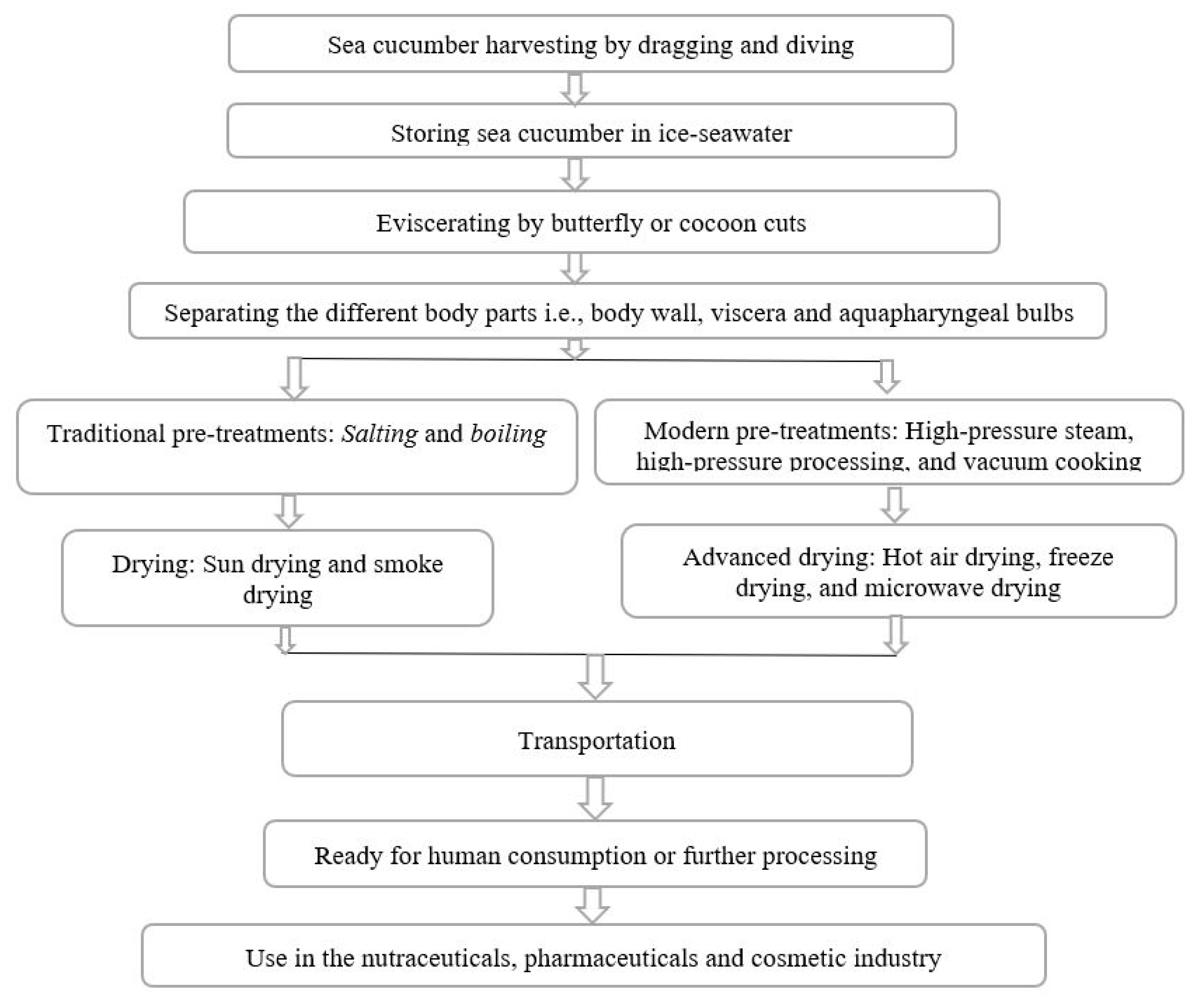 Applsci 14 06475 g001