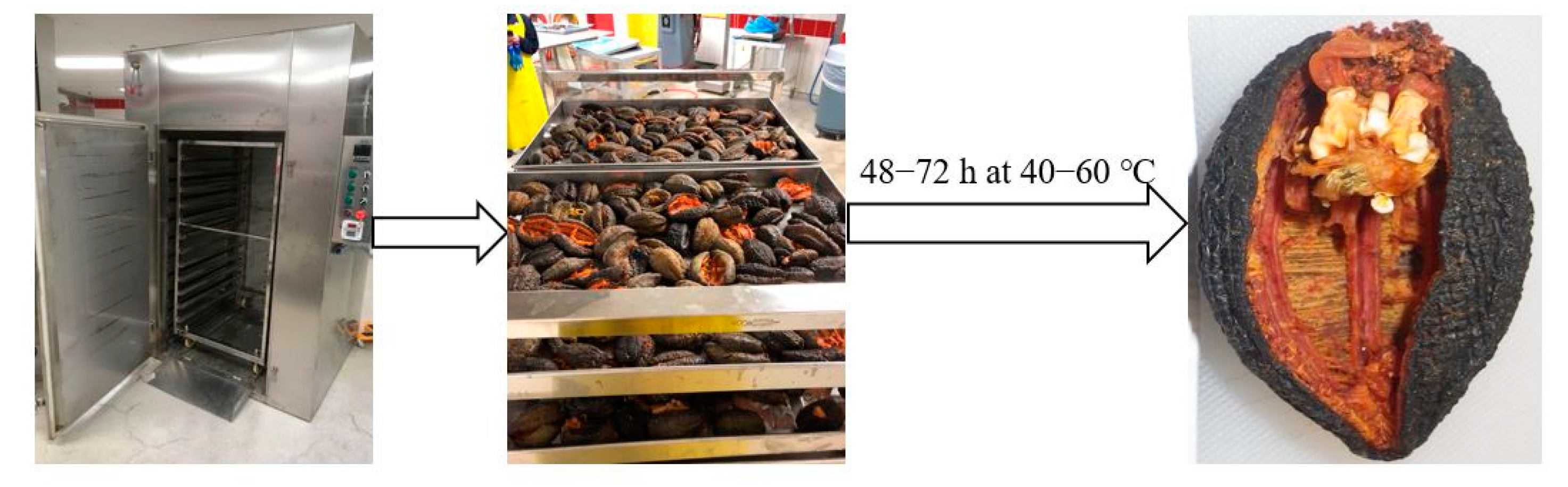 Applsci 14 06475 g003