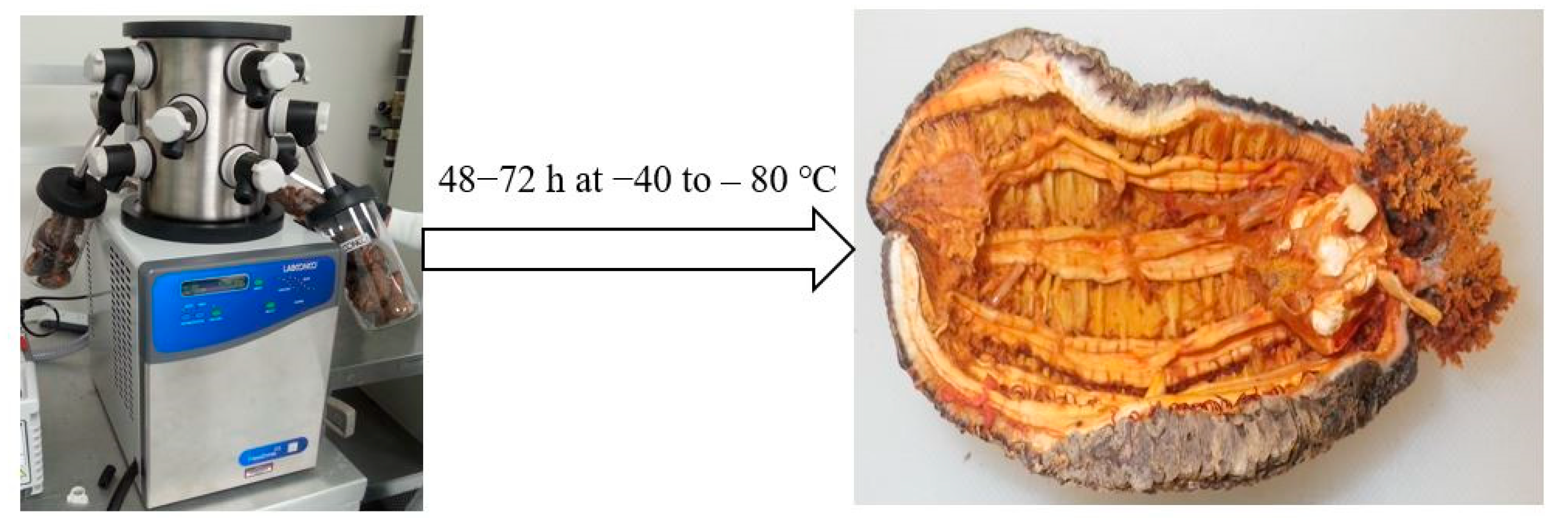 Applsci 14 06475 g004