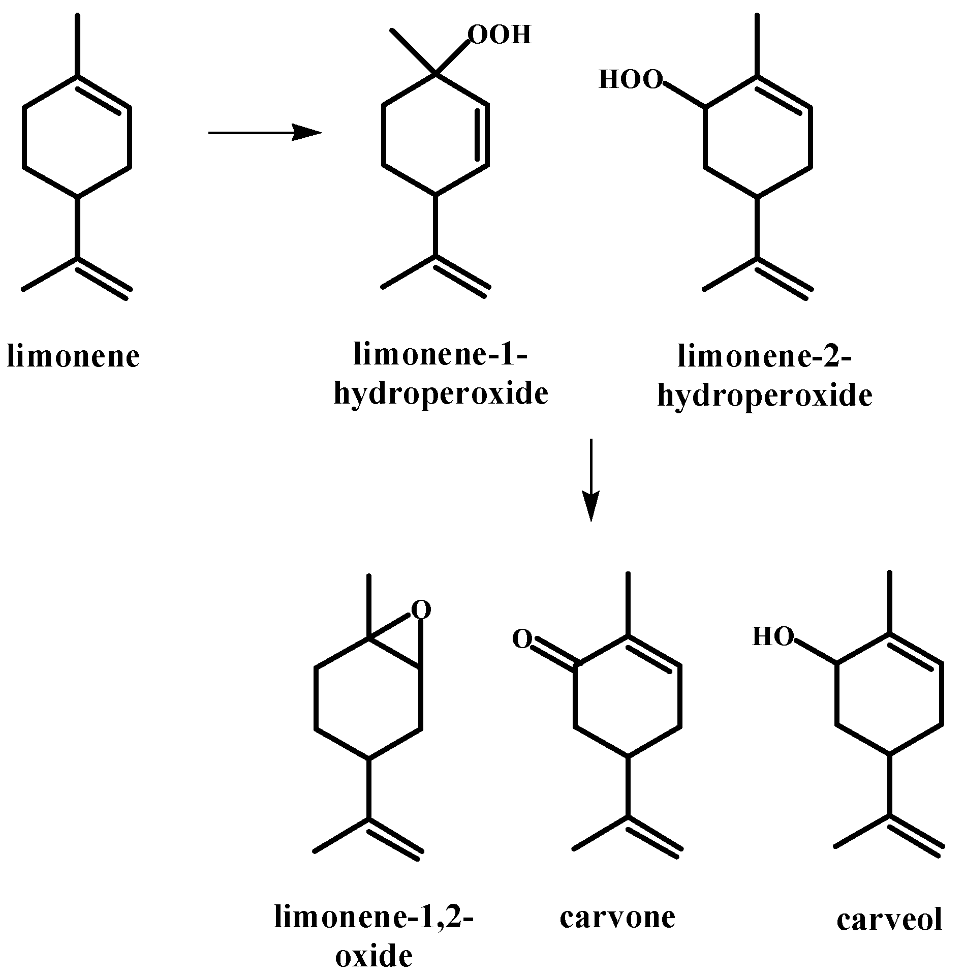 Applsci 14 06476 g001
