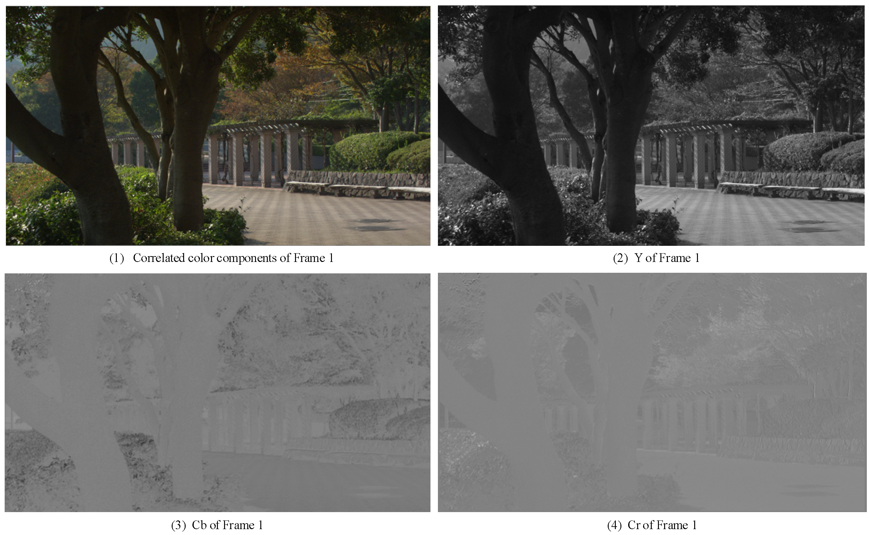 Applsci 14 06480 g001