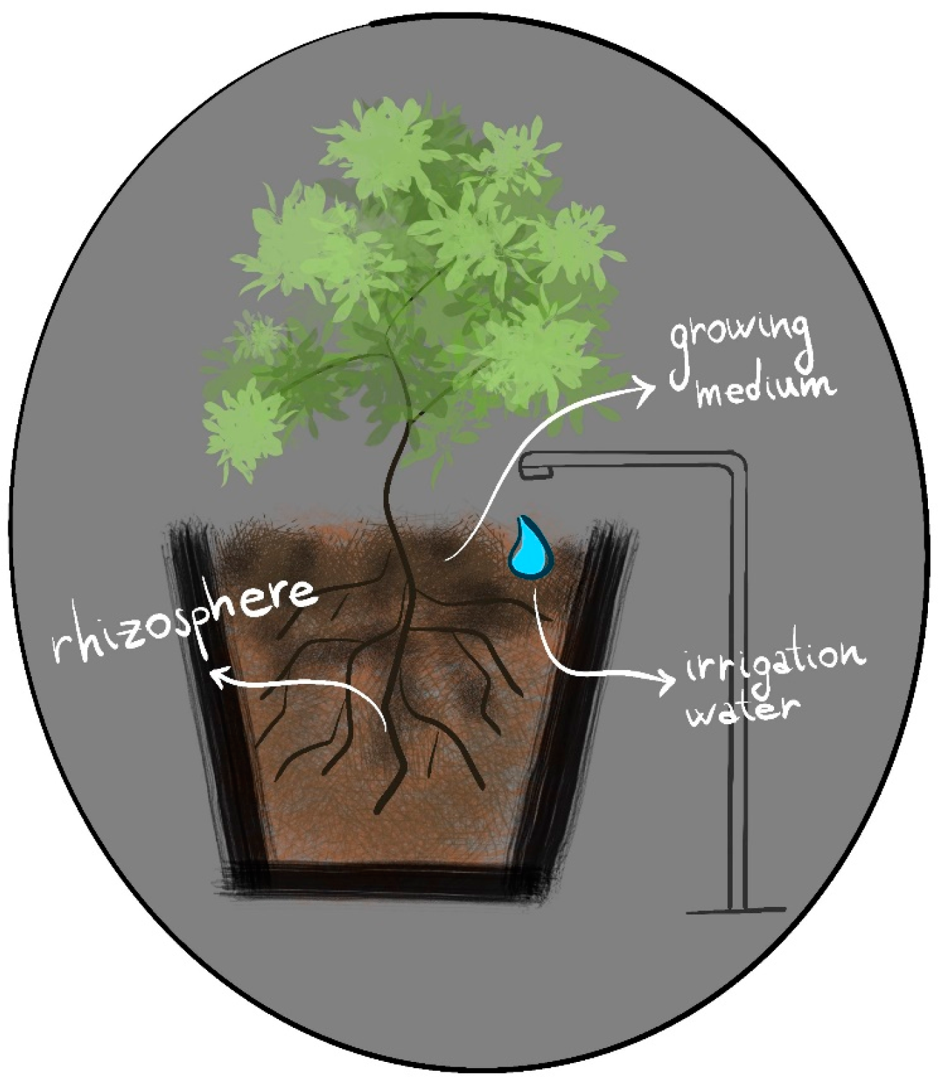 Applsci 14 06487 g007