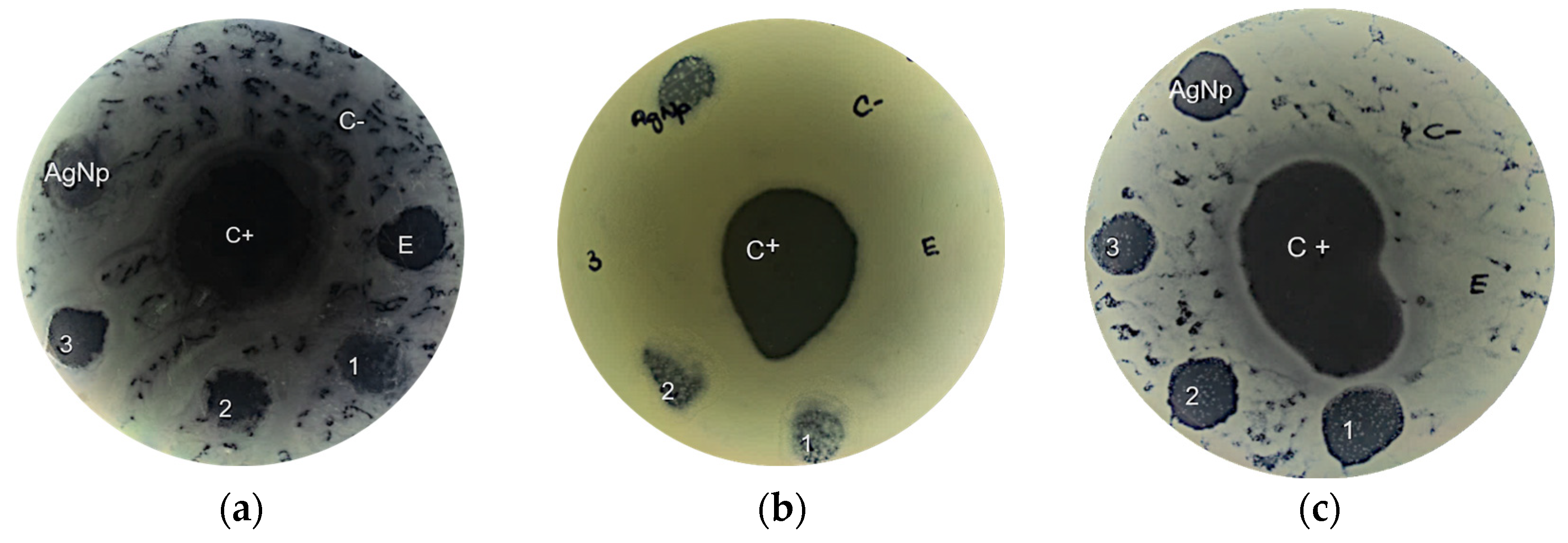 Applsci 14 06493 g003a