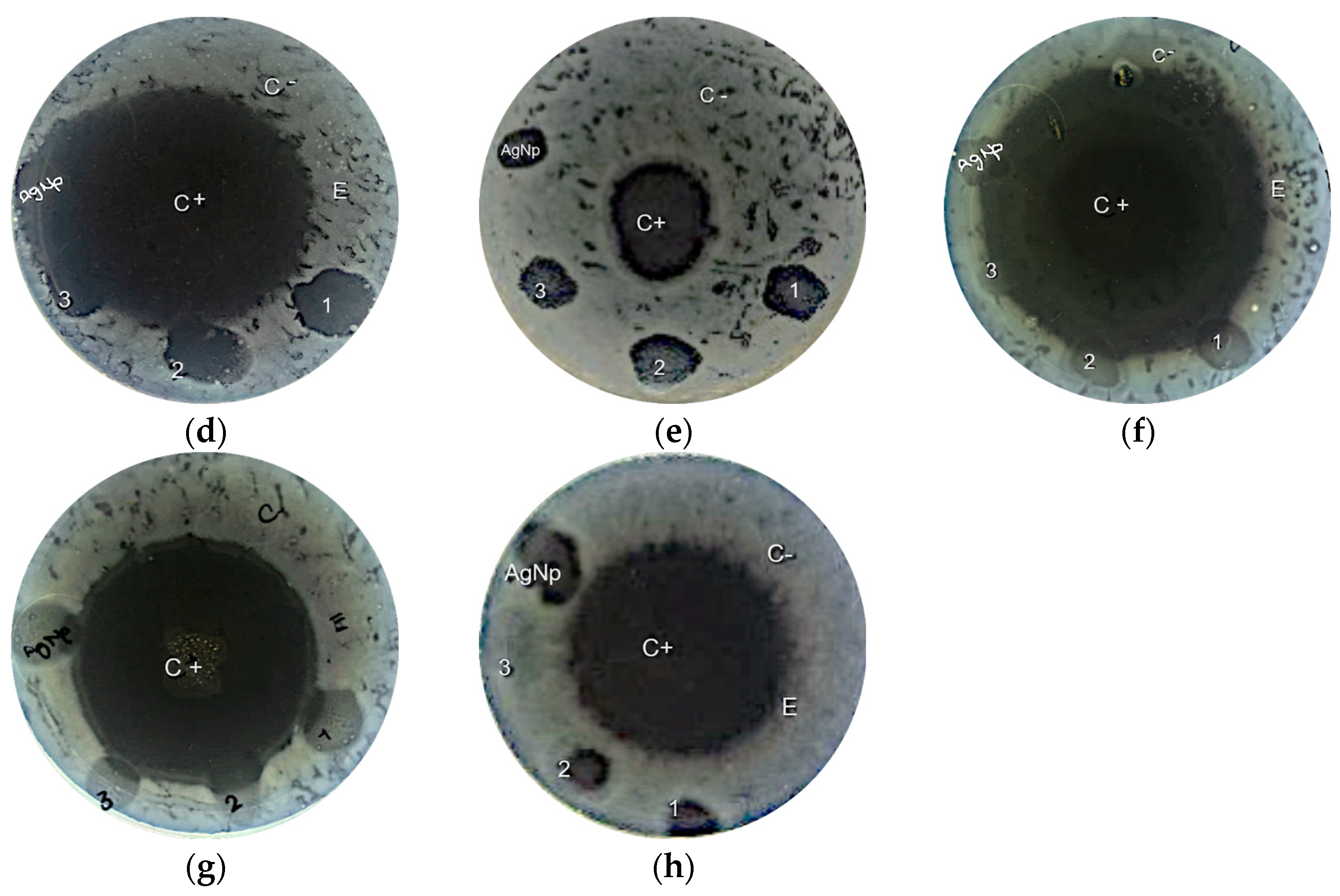 Applsci 14 06493 g003b