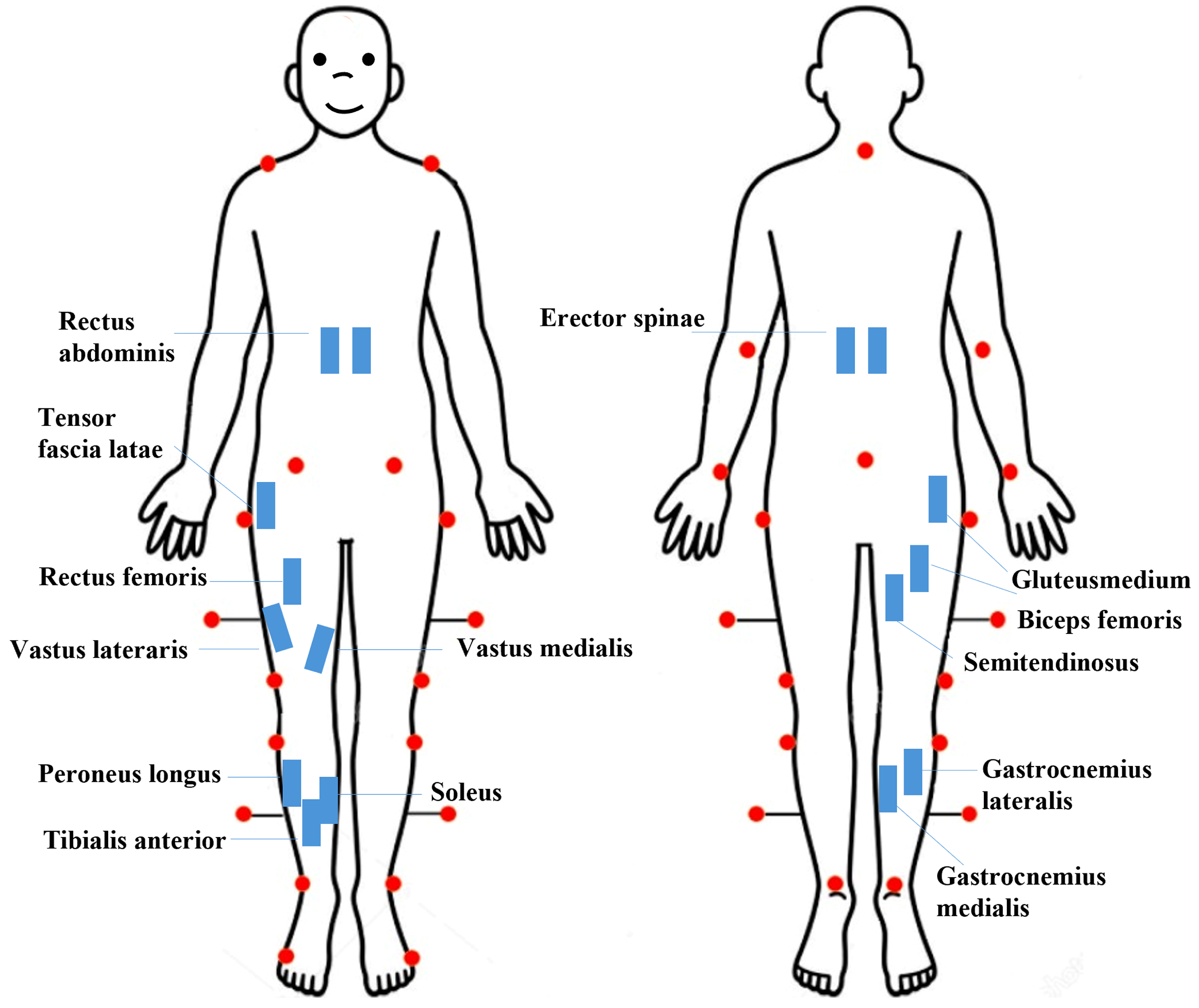 Applsci 14 06537 g004