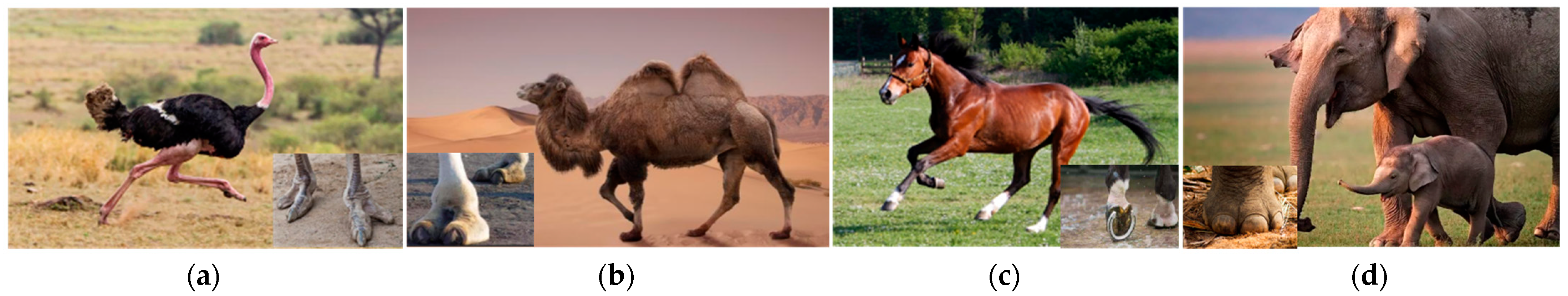 Applsci 14 06541 g037