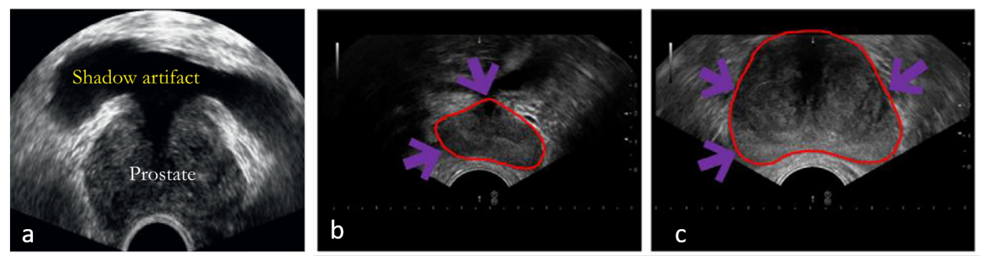 Applsci 14 06550 g003