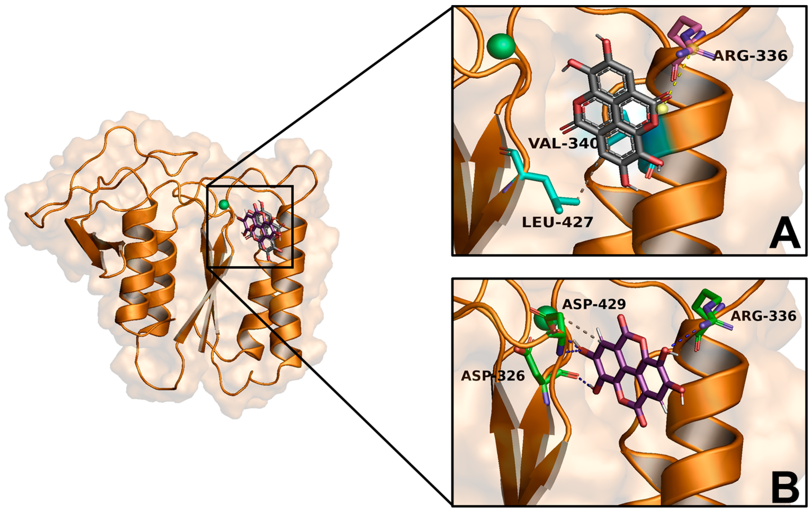 Applsci 14 06552 g001