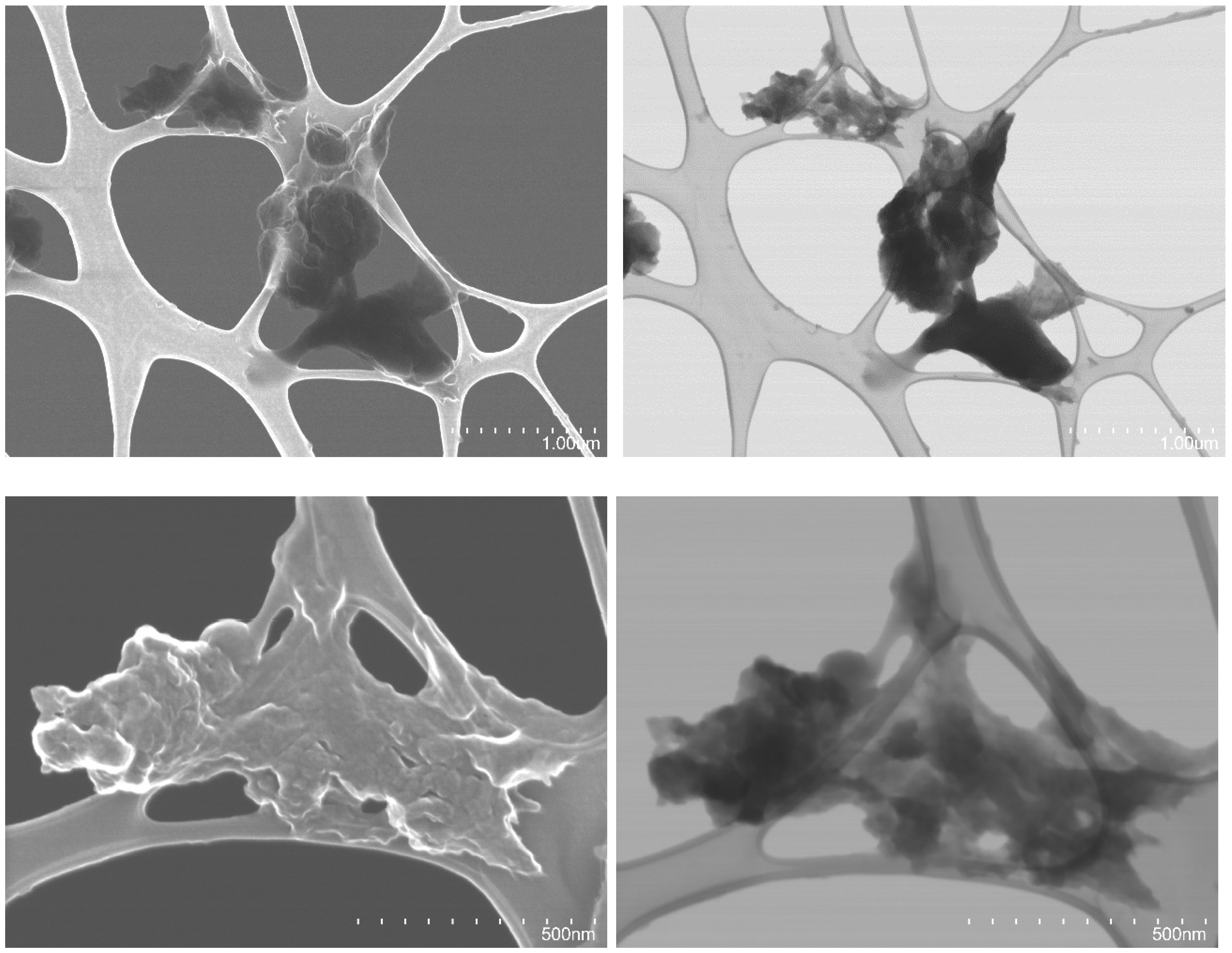 Applsci 14 06558 g004