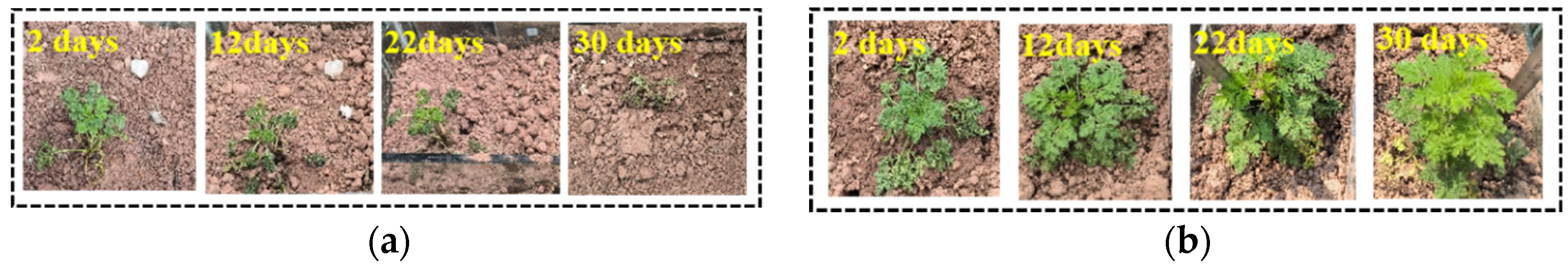 Applsci 14 06561 g003