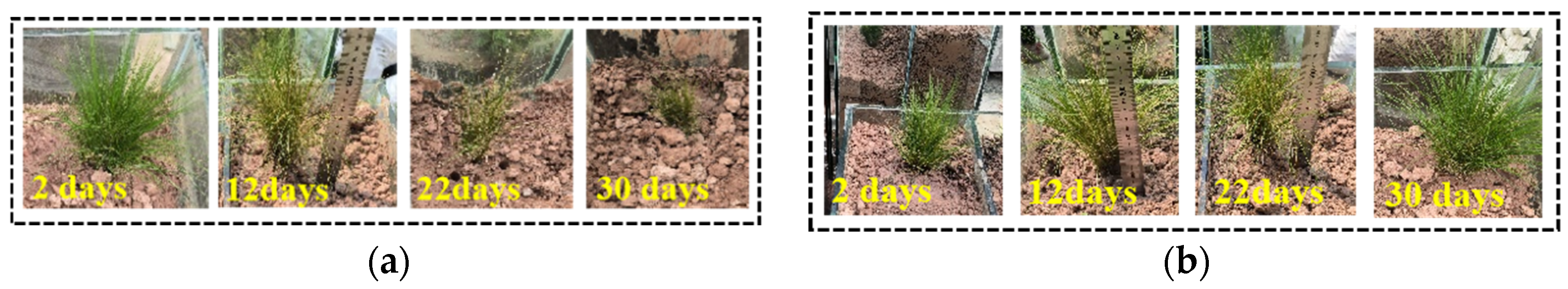 Applsci 14 06561 g005