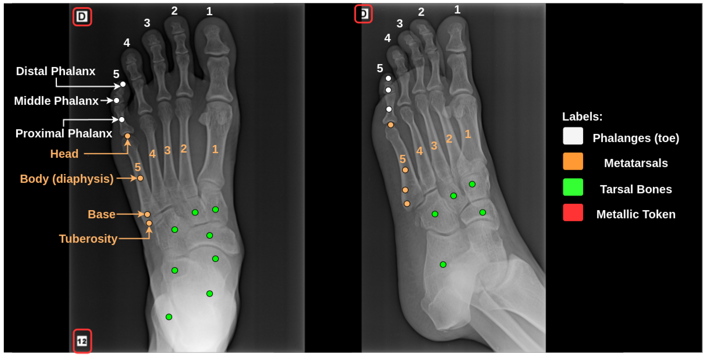 Applsci 14 06566 g003