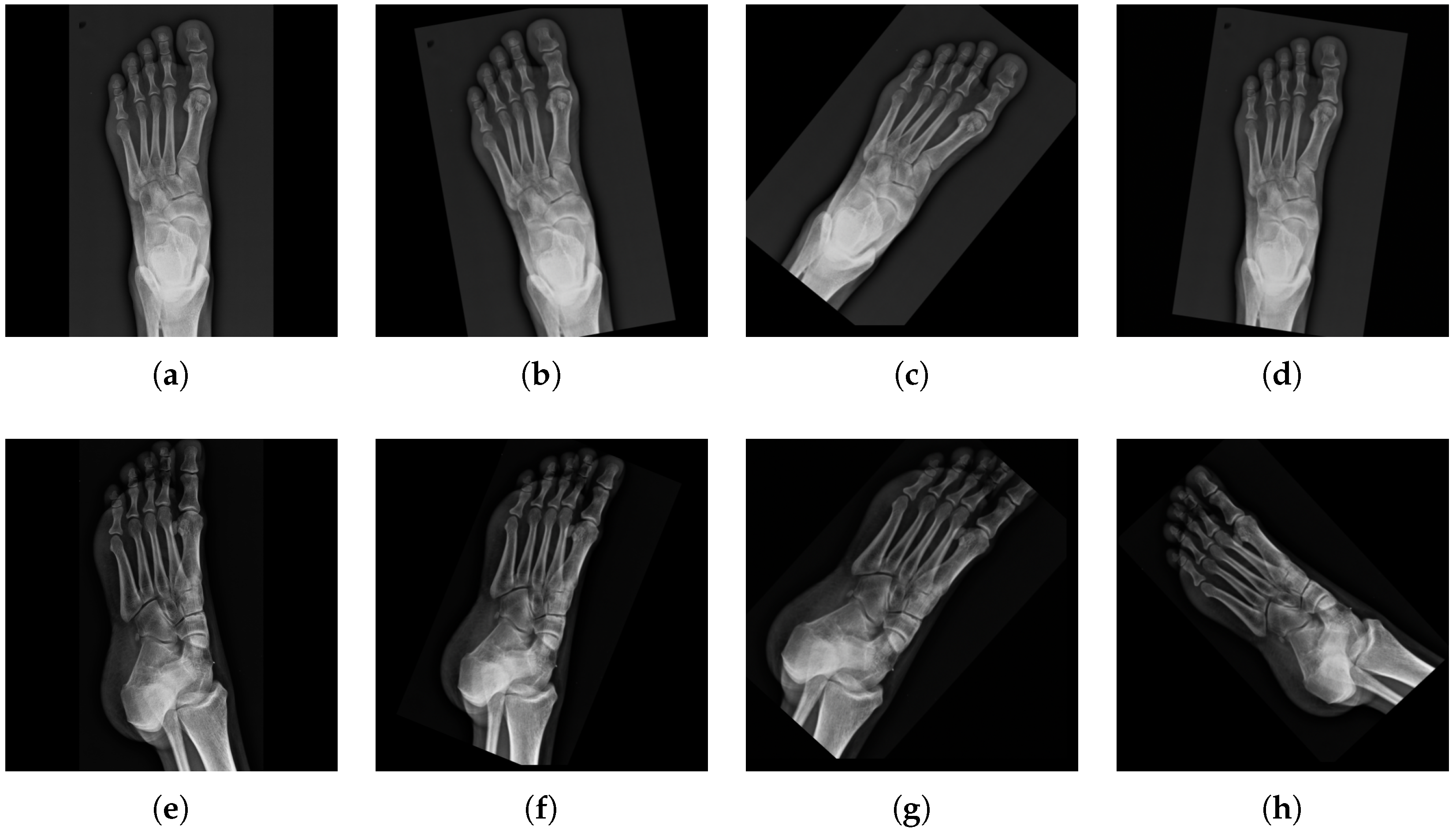 Applsci 14 06566 g009