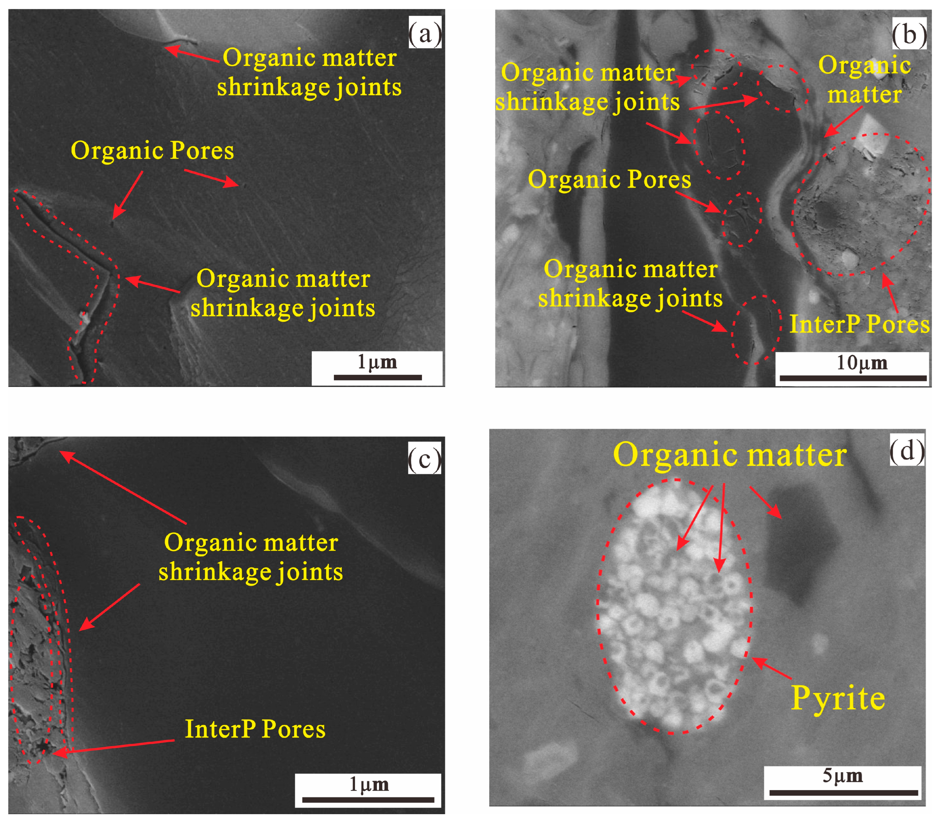 Applsci 14 06577 g007