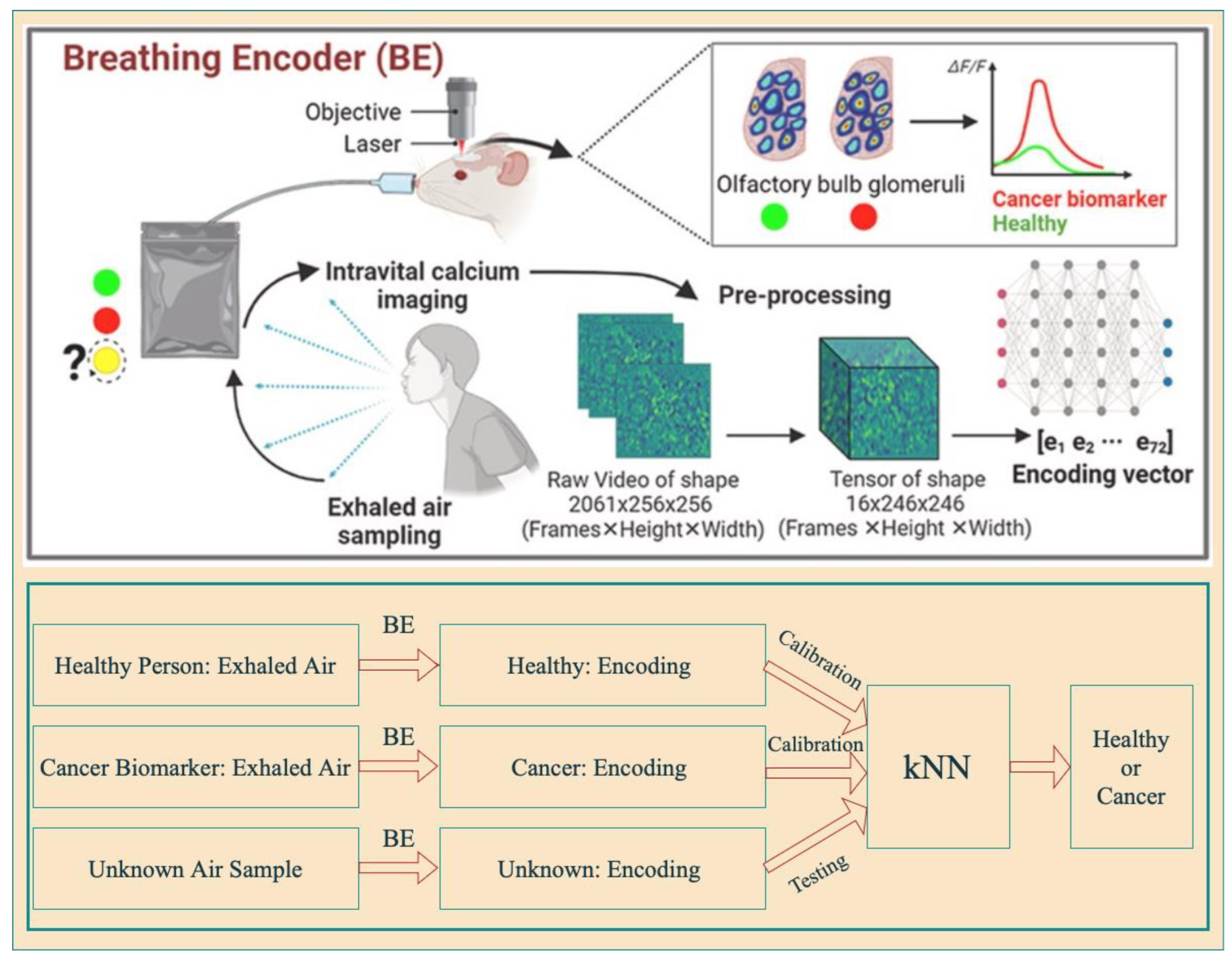 Applsci 14 06590 g015
