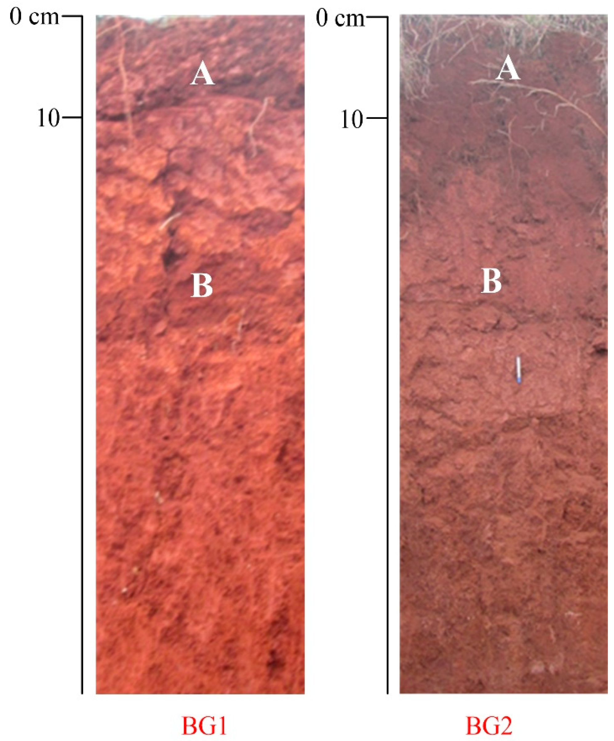 Applsci 14 06610 g002