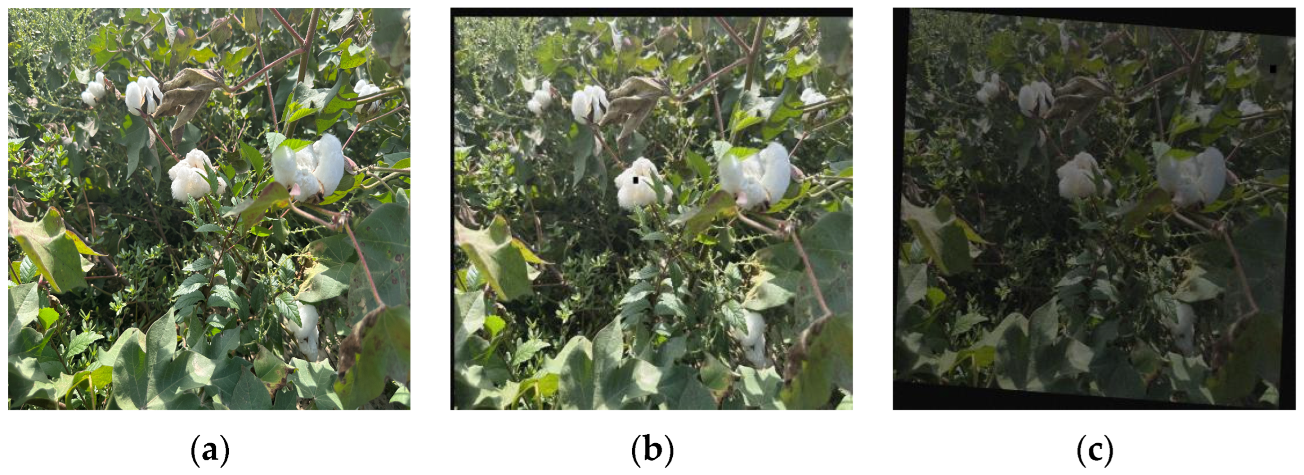 Applsci 14 06650 g006