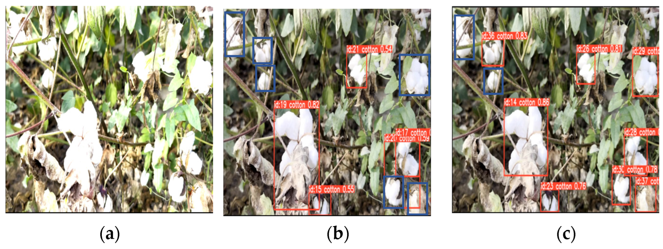 Applsci 14 06650 g016