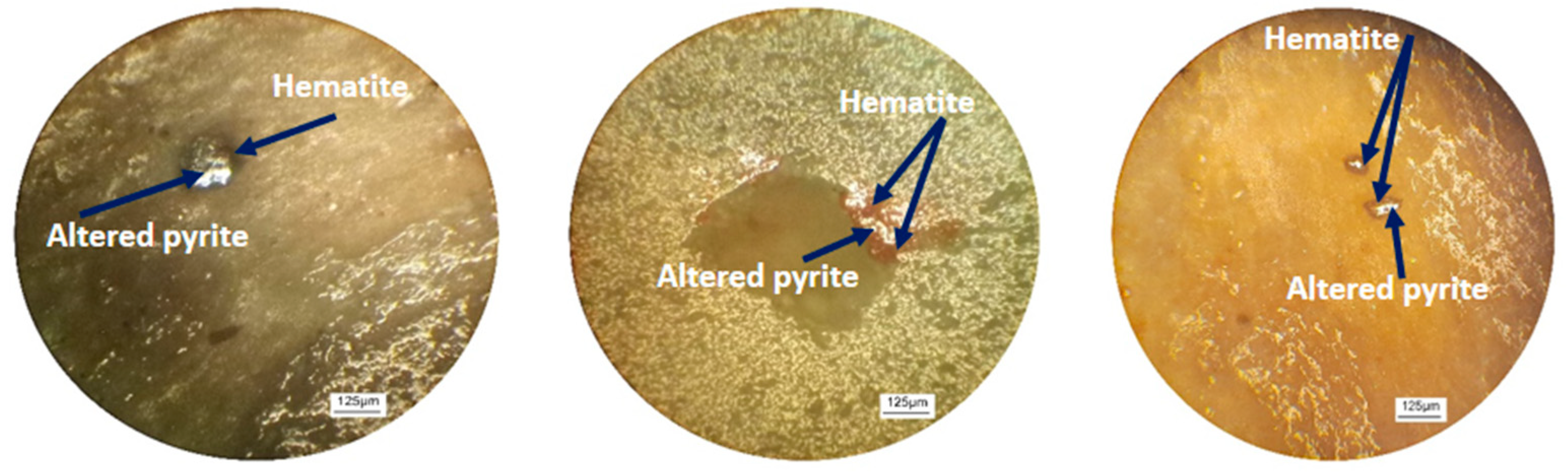 Applsci 14 06651 g002