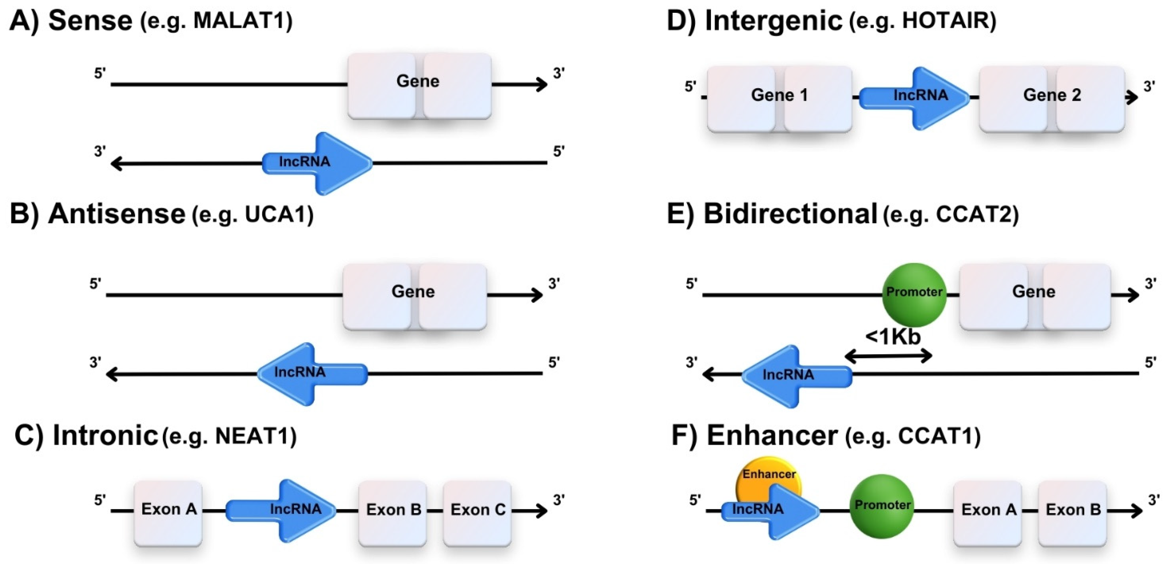 Applsci 14 06667 g001