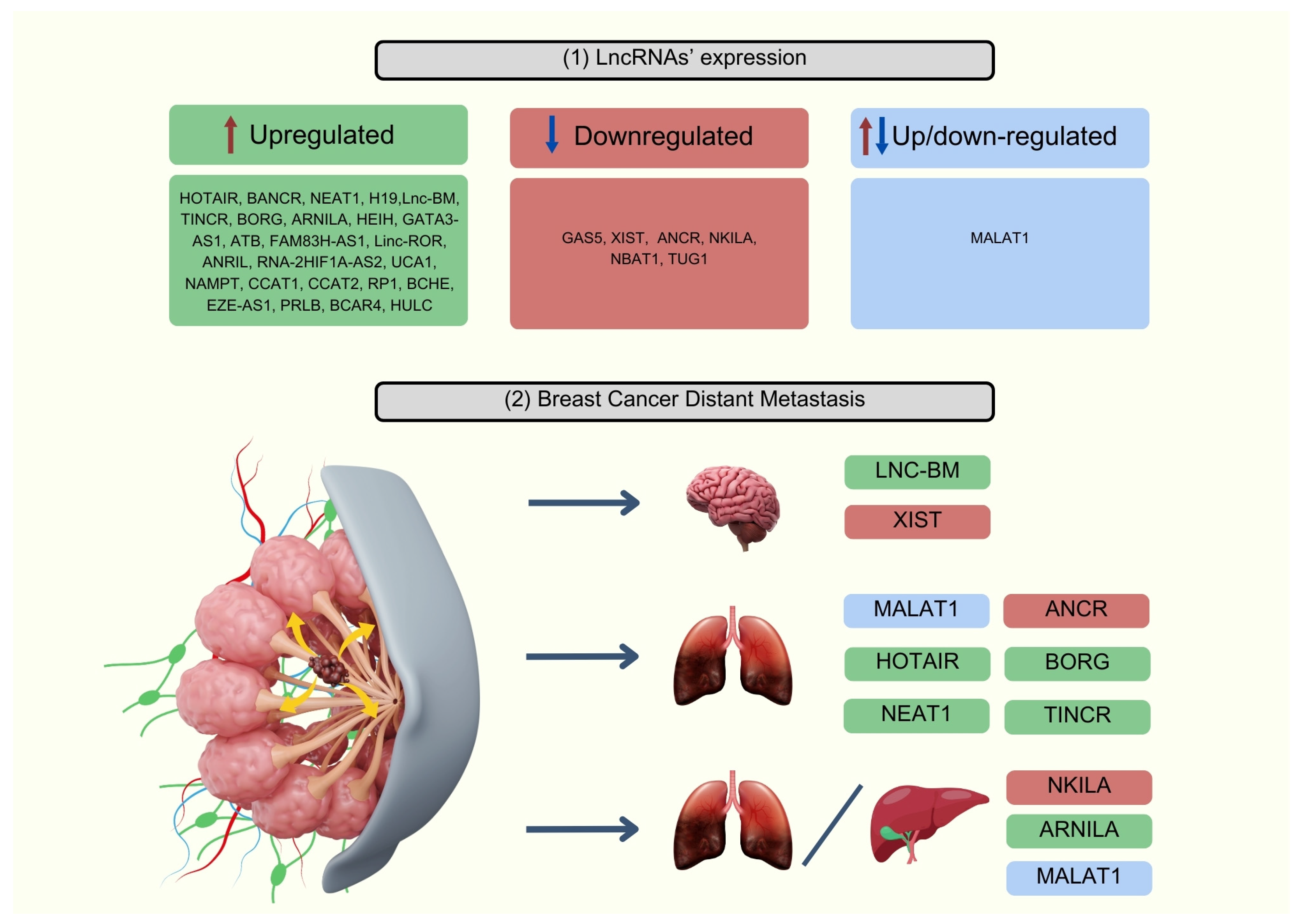 Applsci 14 06667 g002