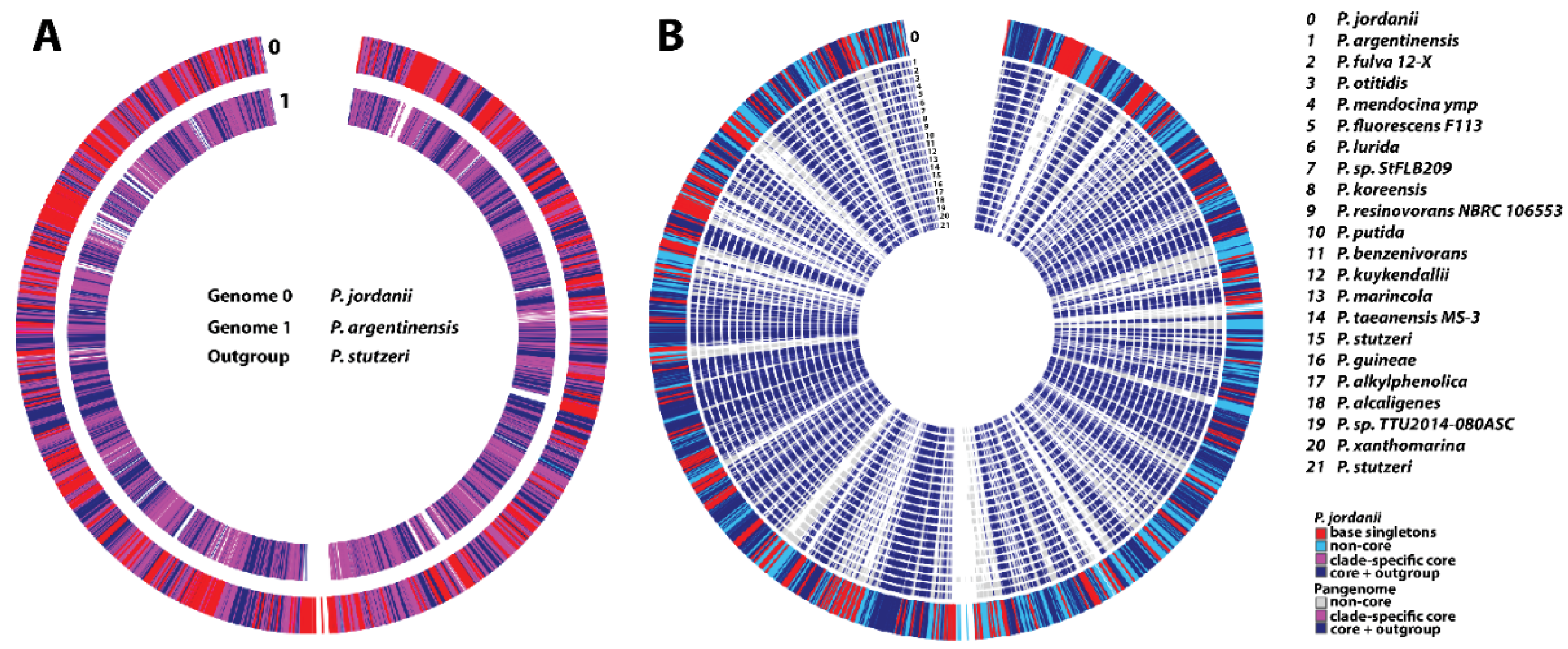 Applsci 14 06681 g004