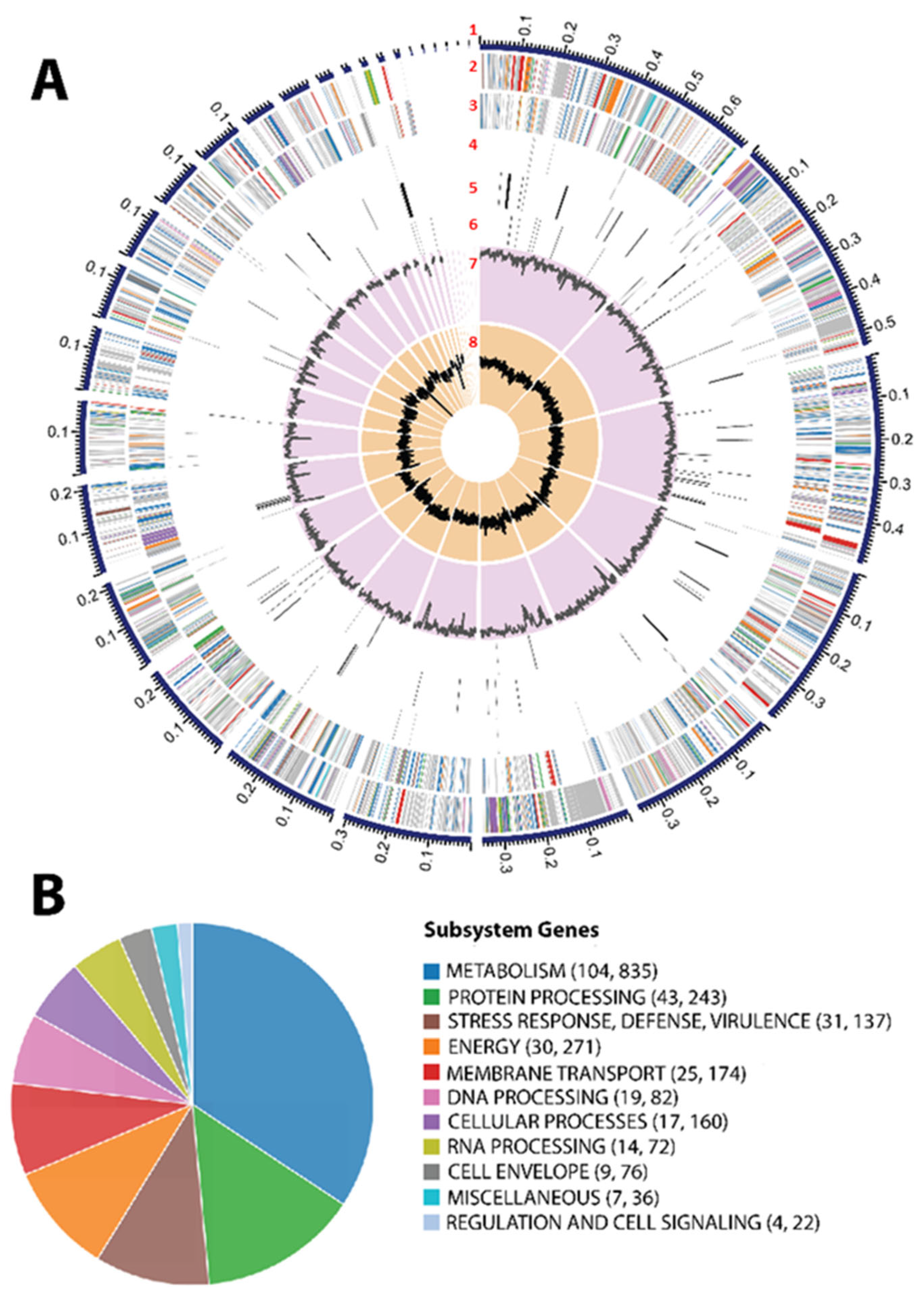 Applsci 14 06681 g005
