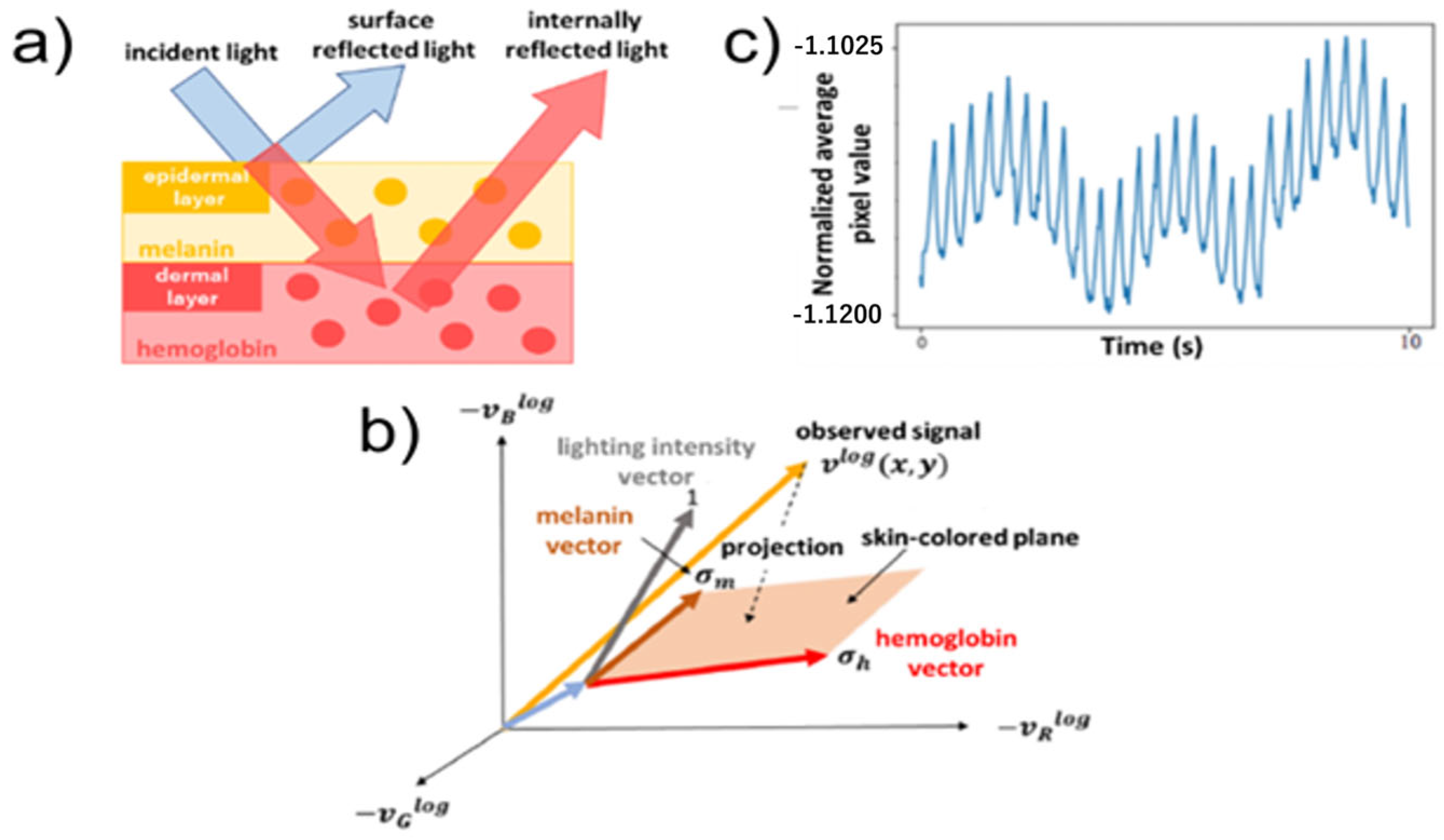 Applsci 14 06697 g001