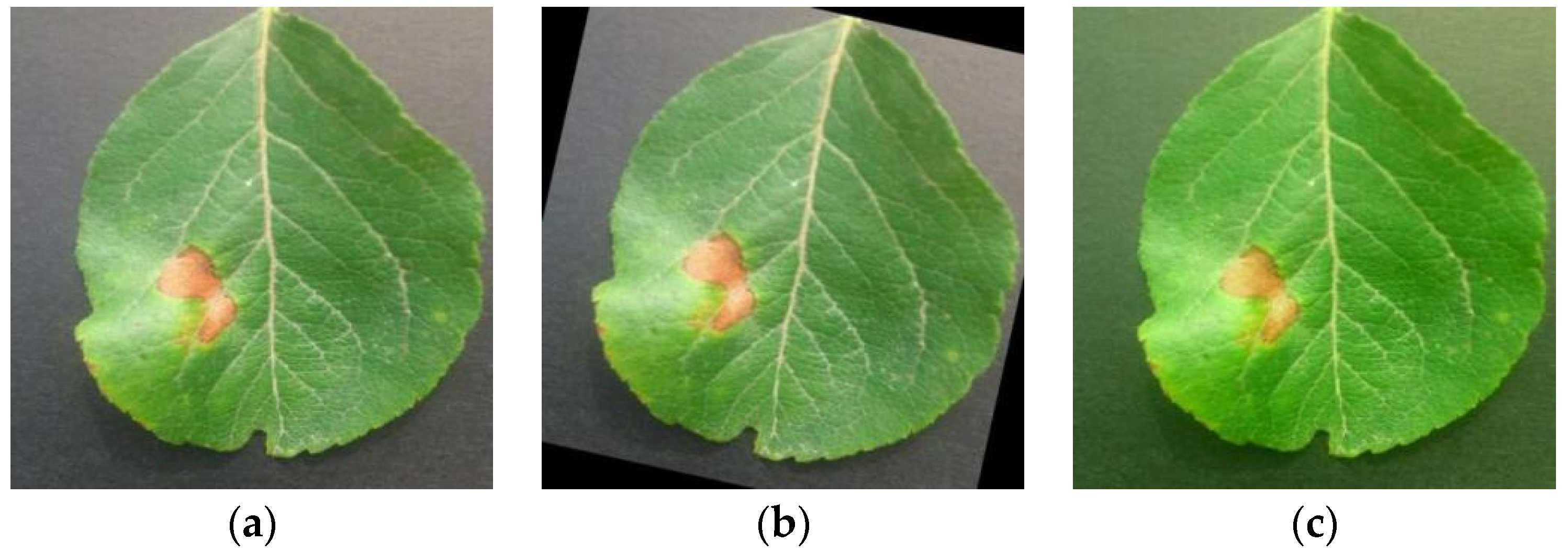 Applsci 14 06710 g002a