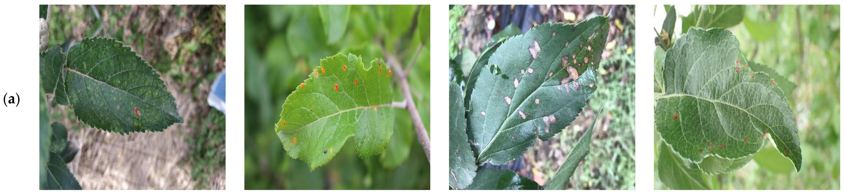 Applsci 14 06710 g014a