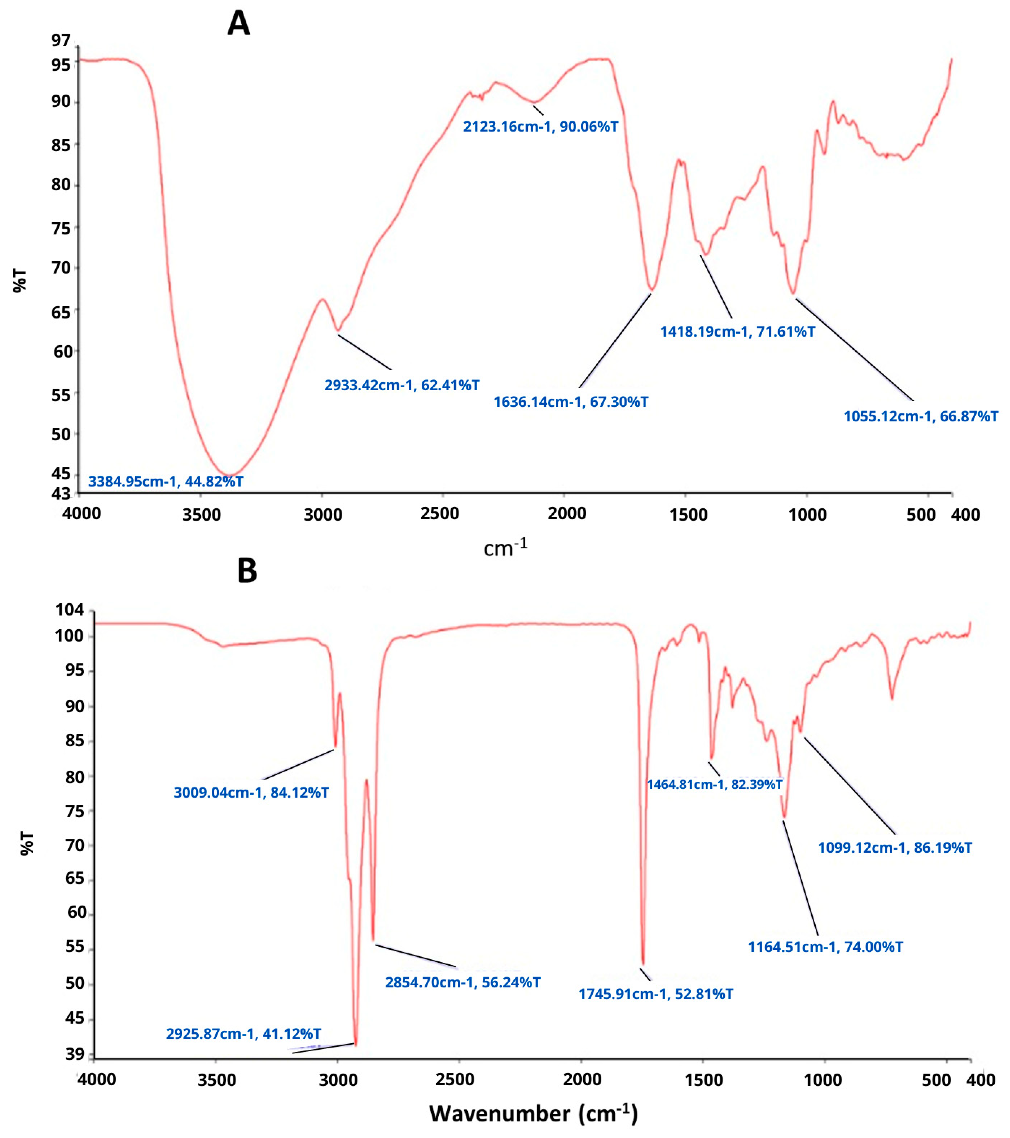 Applsci 14 06711 g001