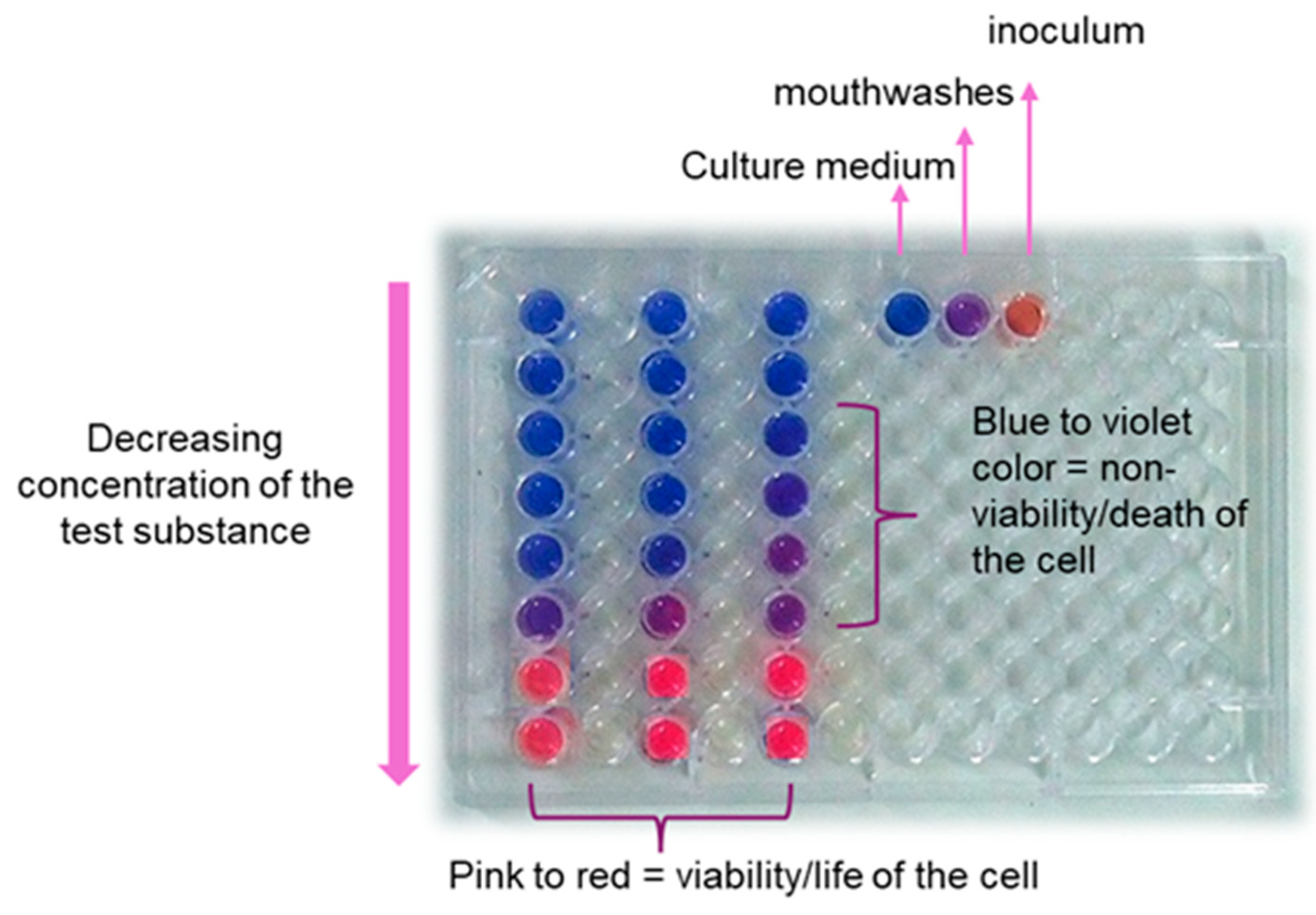 Applsci 14 06711 g012