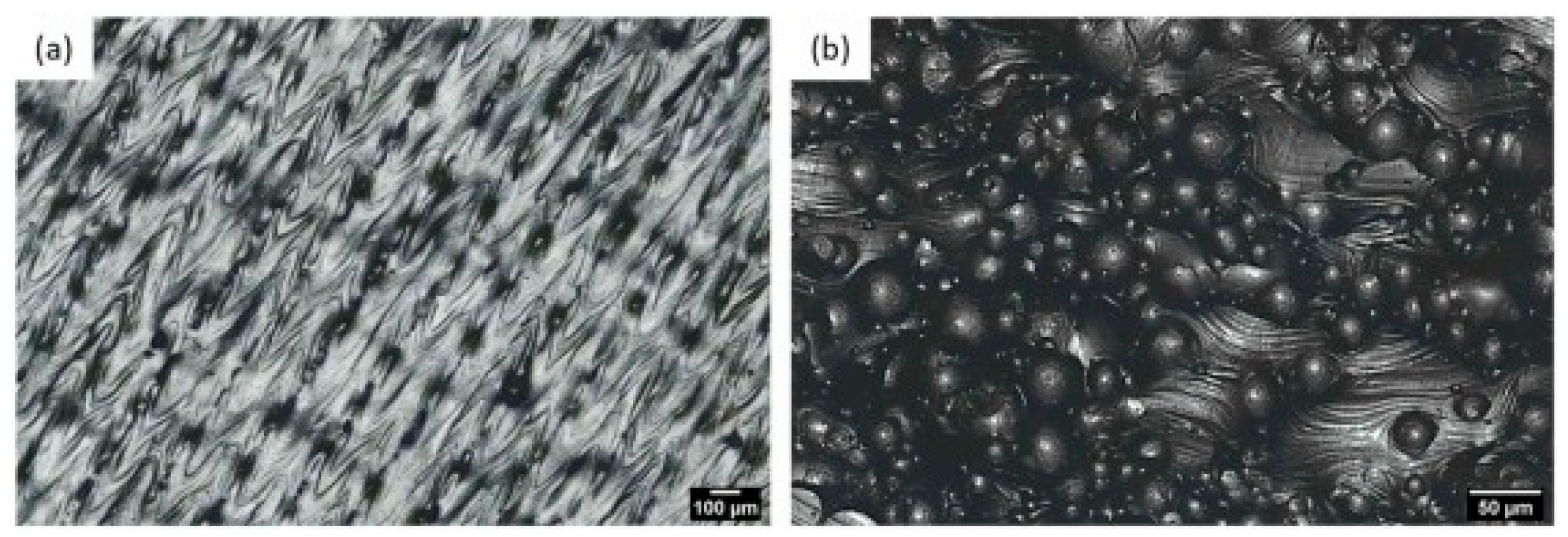 Applsci 14 06718 g023