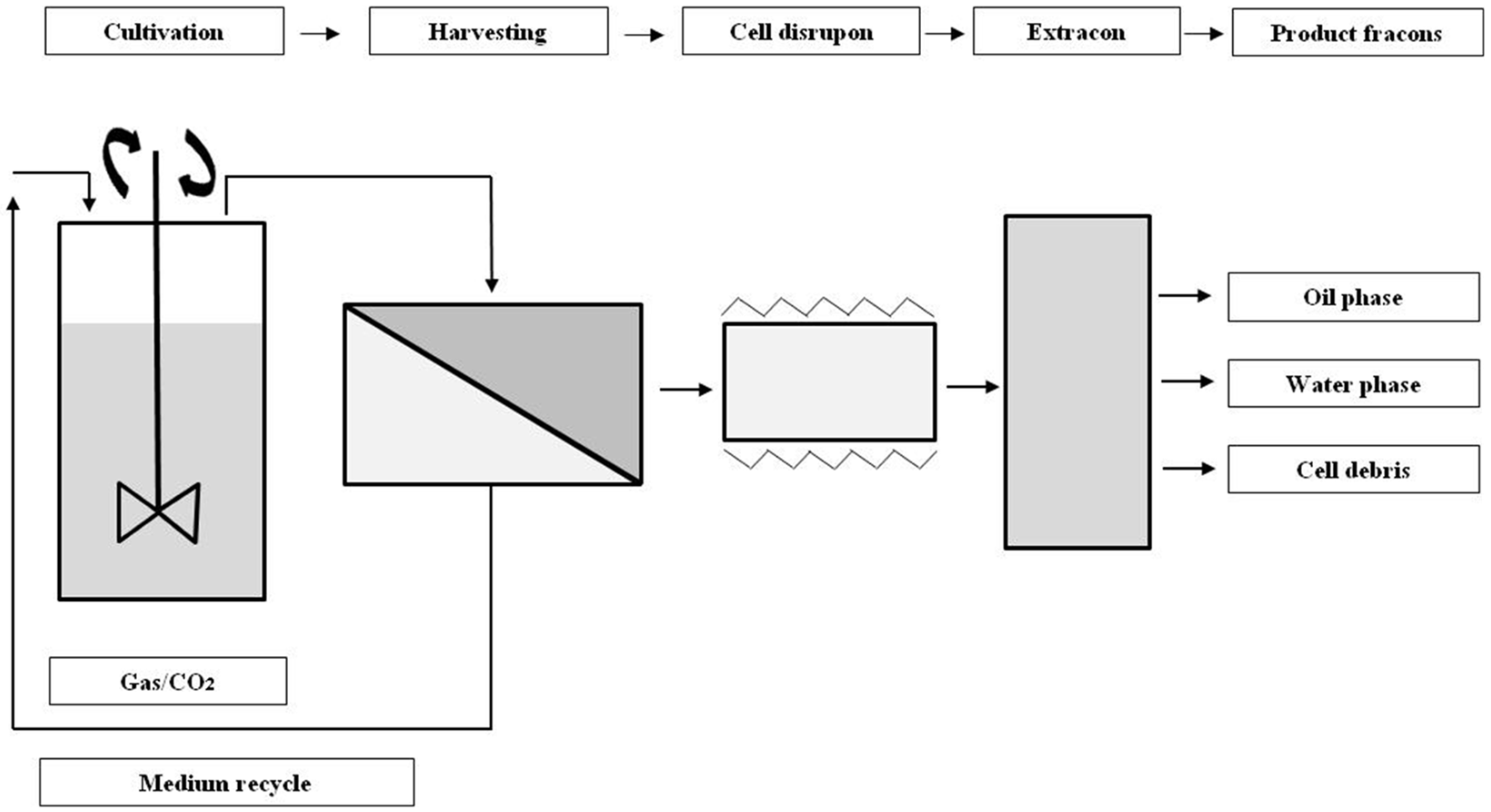 Applsci 14 06727 g003