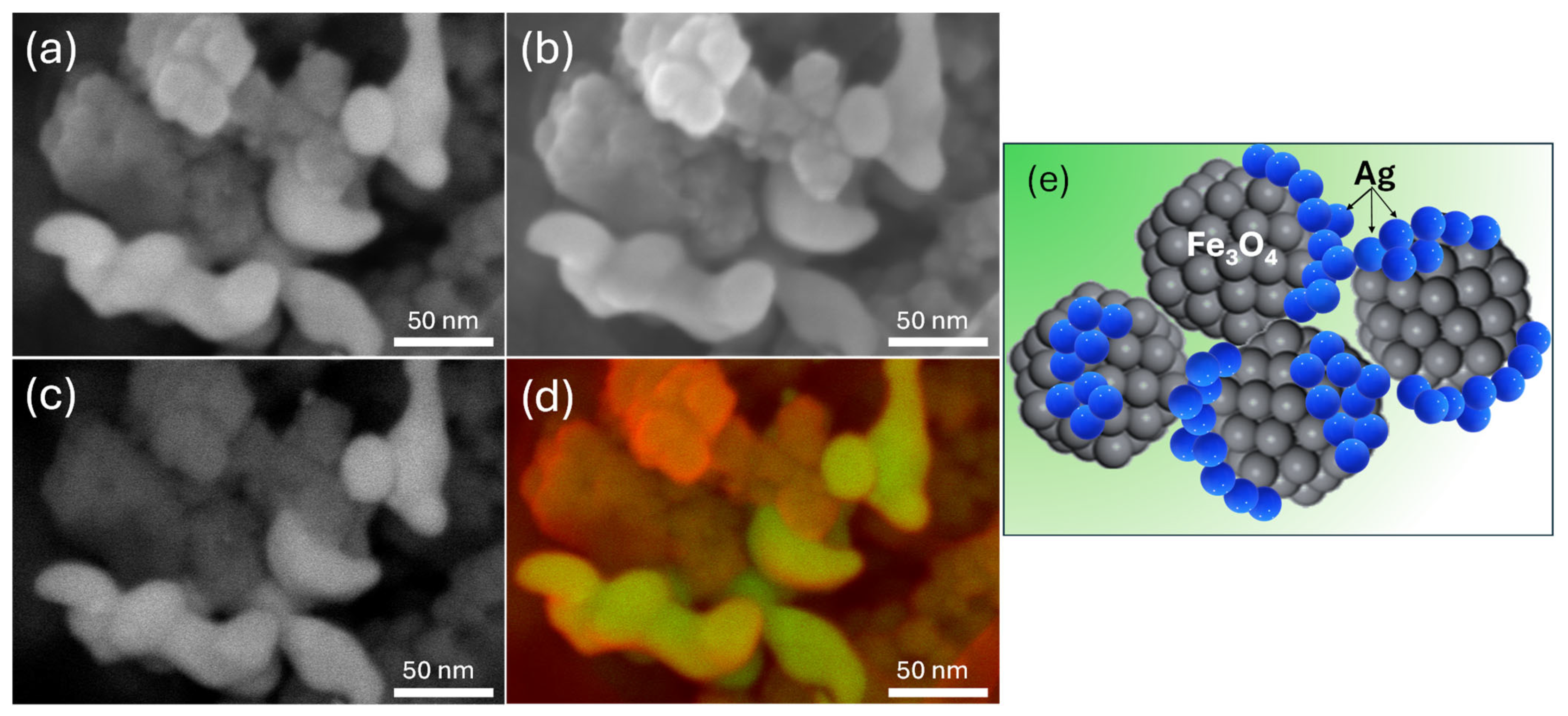 Applsci 14 06750 g001