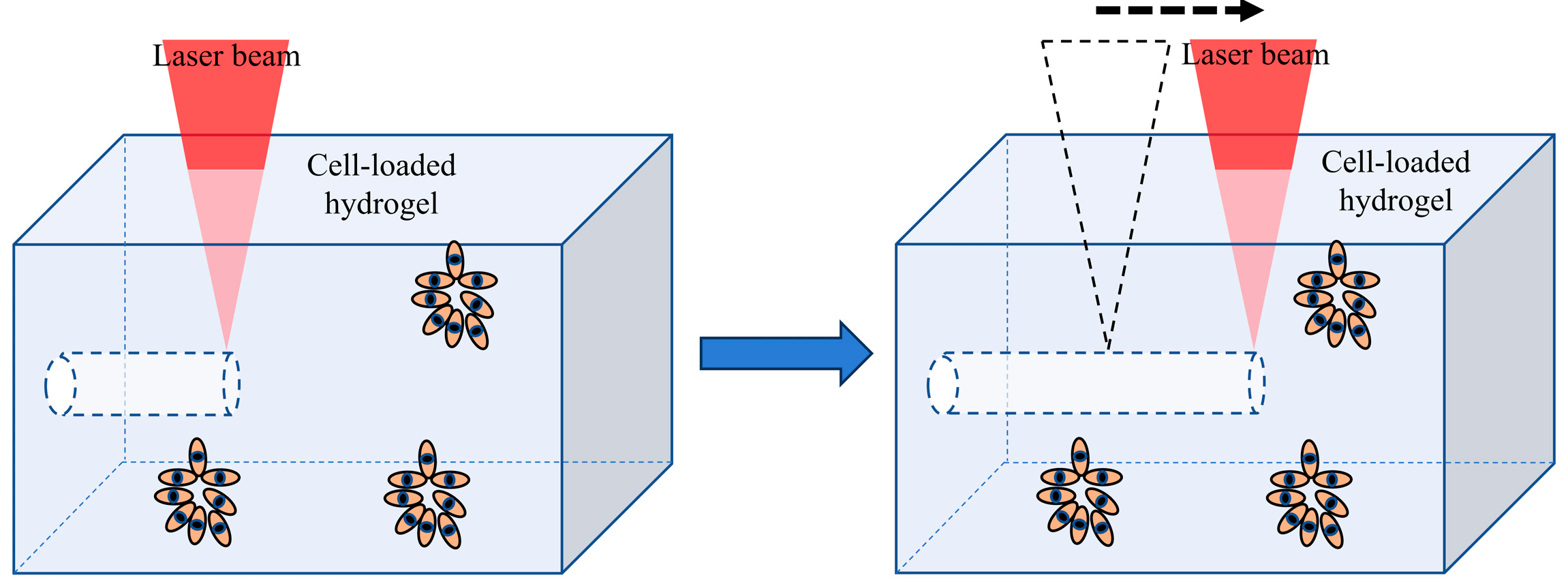 Applsci 14 06780 g003