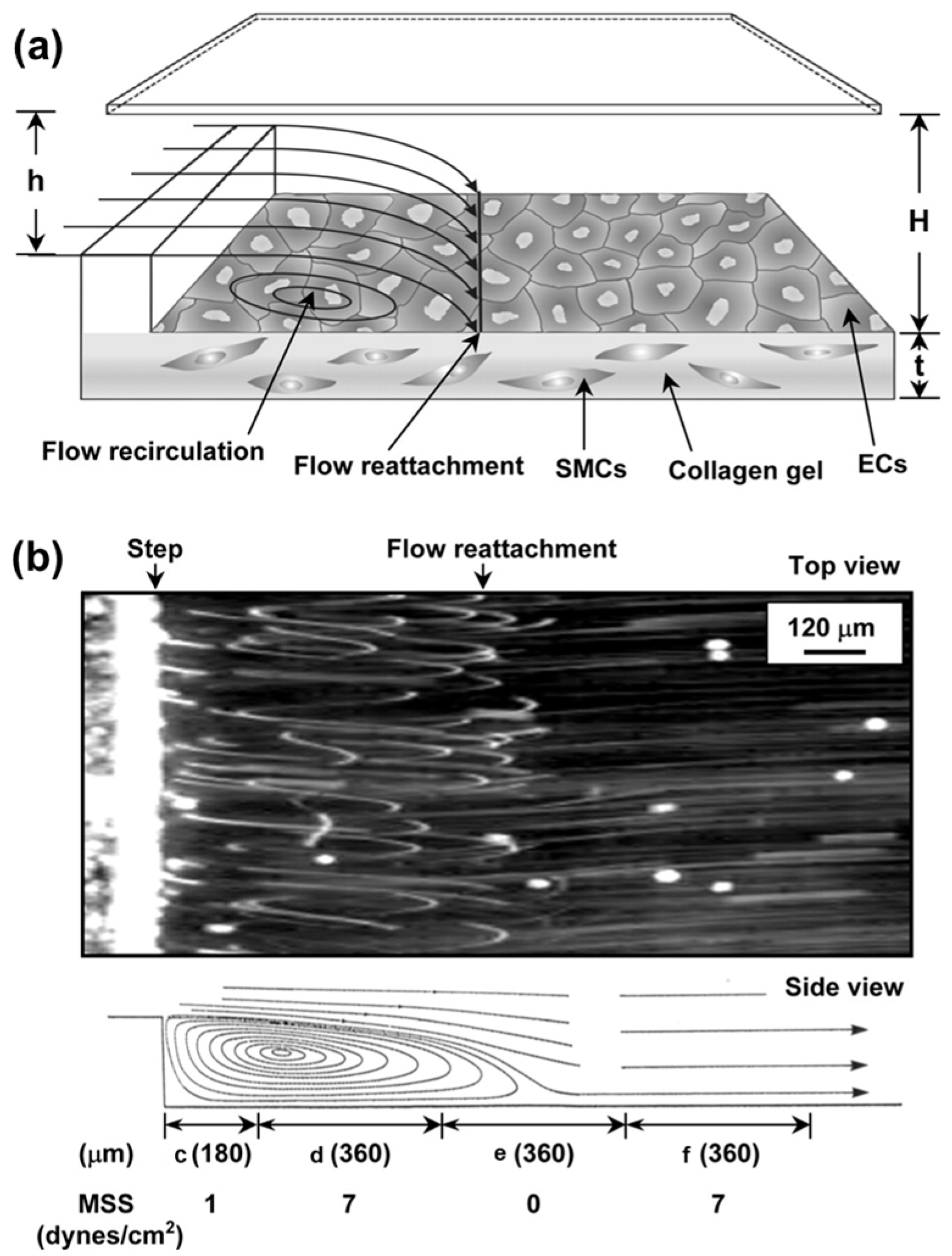 Applsci 14 06780 g004