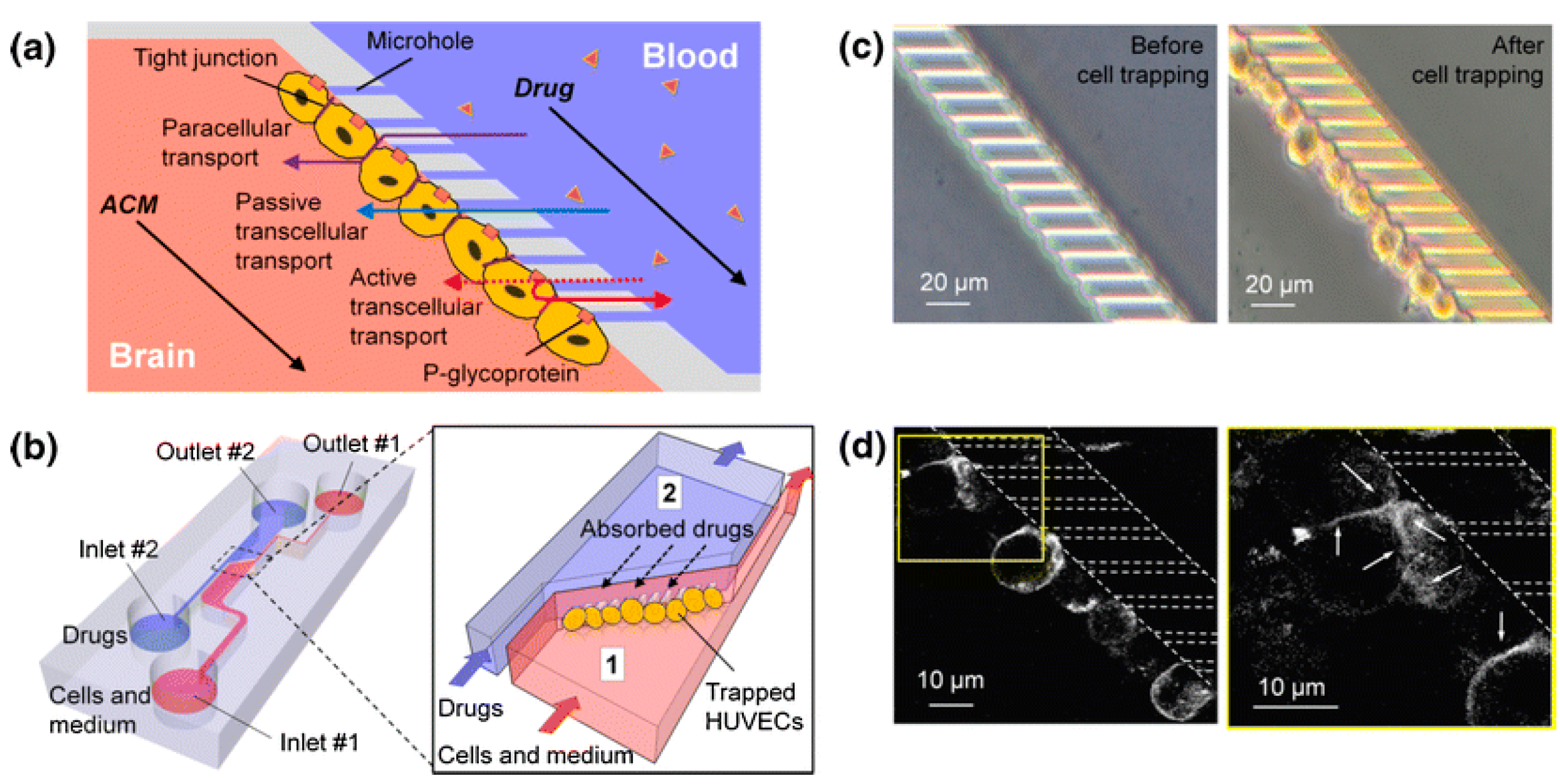 Applsci 14 06780 g006