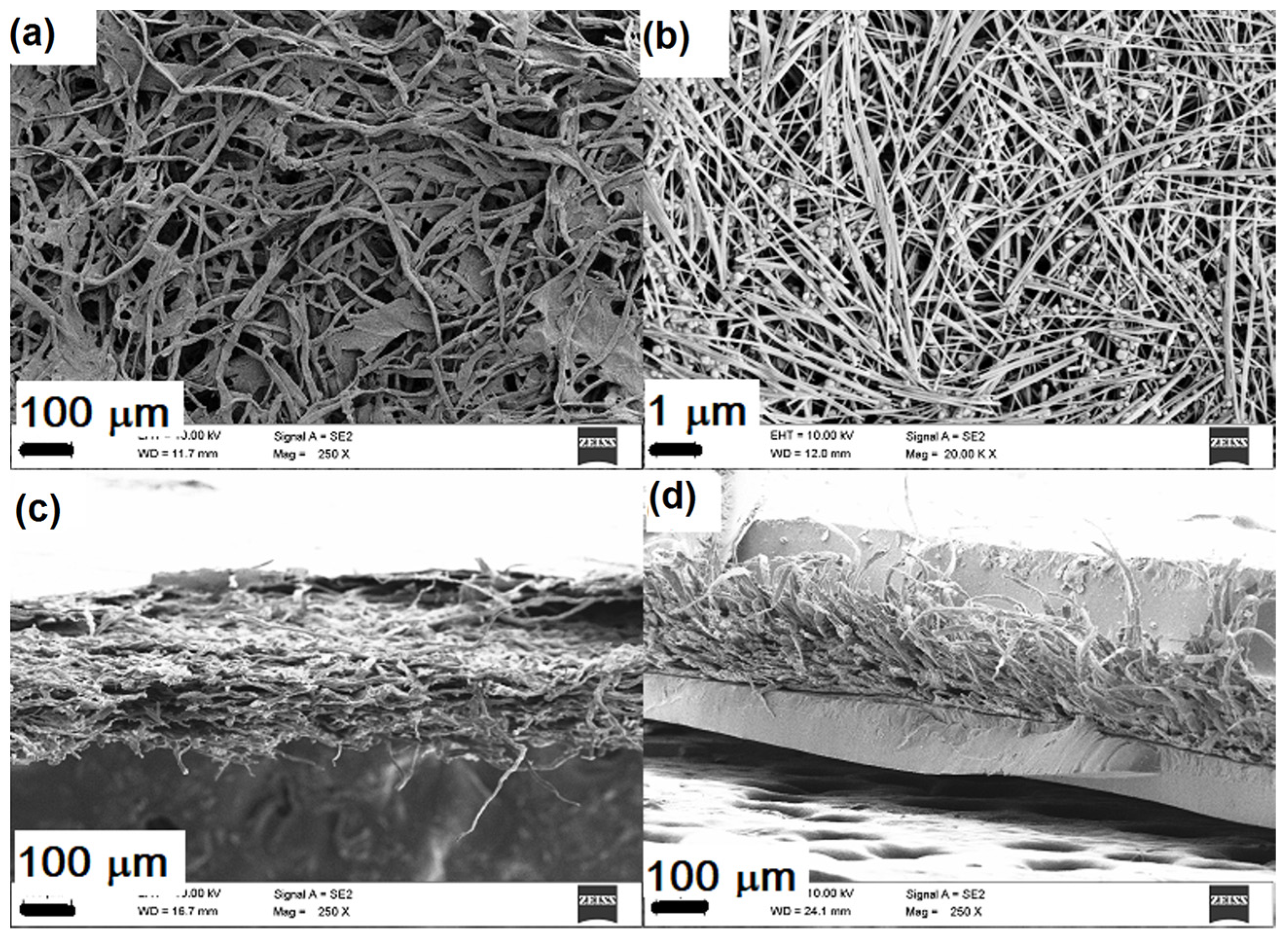 Applsci 14 06783 g002