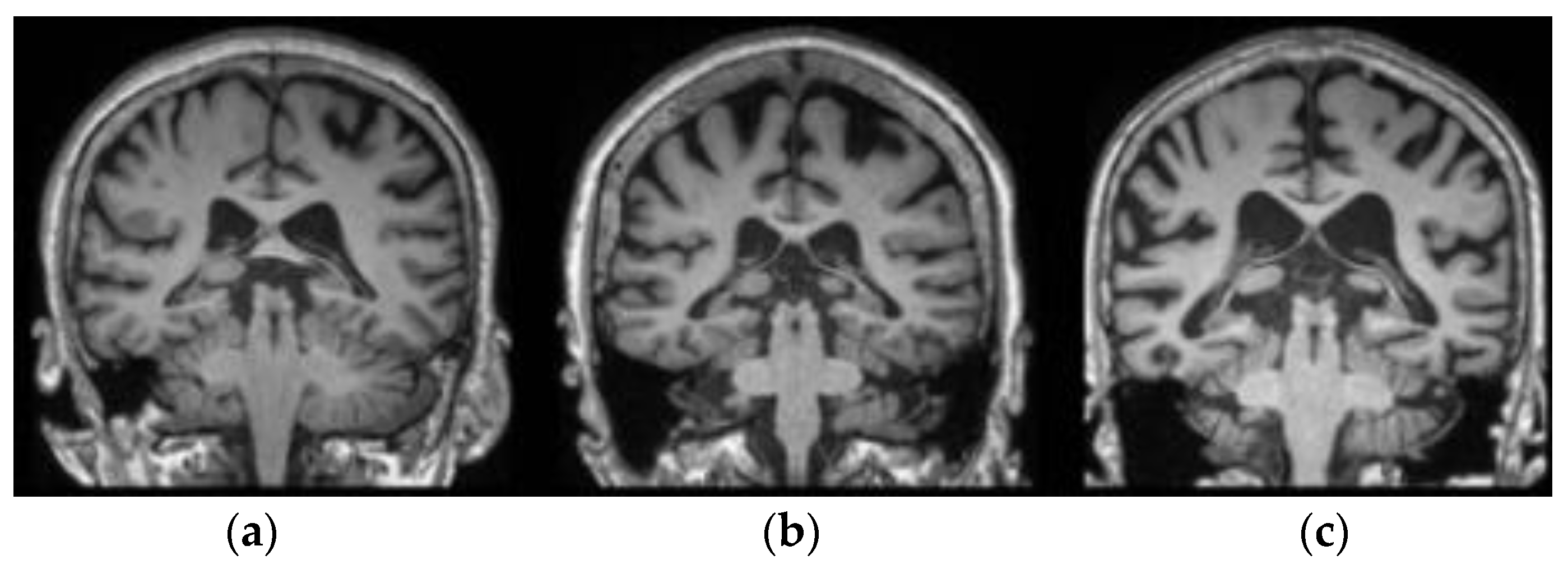 Applsci 14 06798 g002