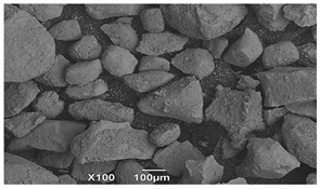 Applsci 14 06823 i004