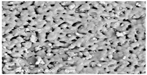 Applsci 14 06823 i005