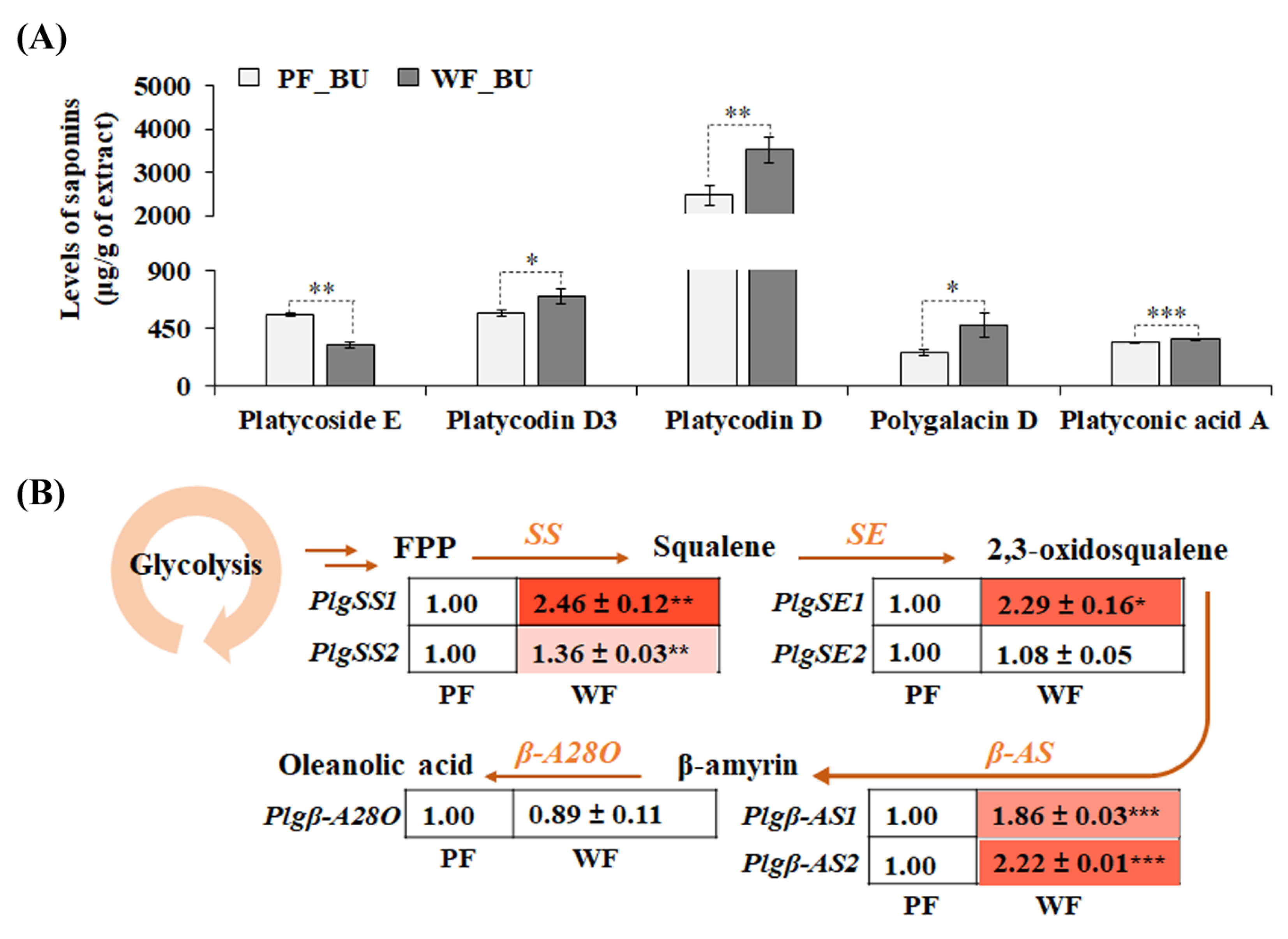 Applsci 14 06867 g002 Applsci 14 06867 g002