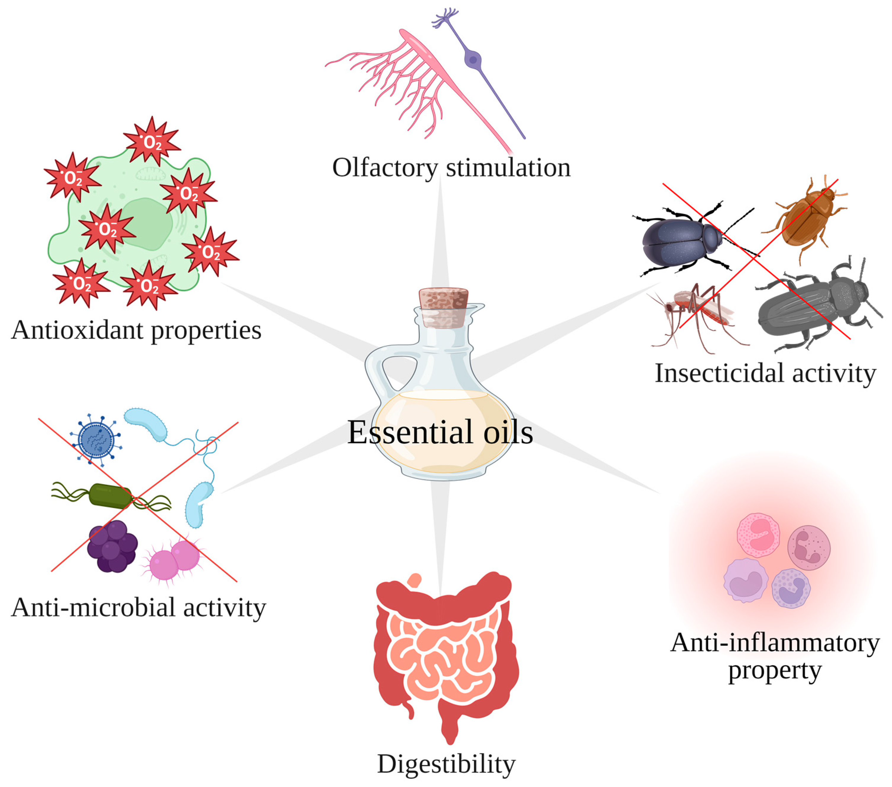 Applsci 14 06882 g004