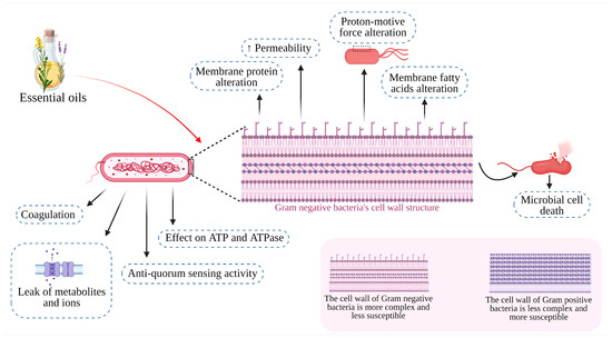 glutathione detox pathway Glutathione IV Detox: Is It Right?