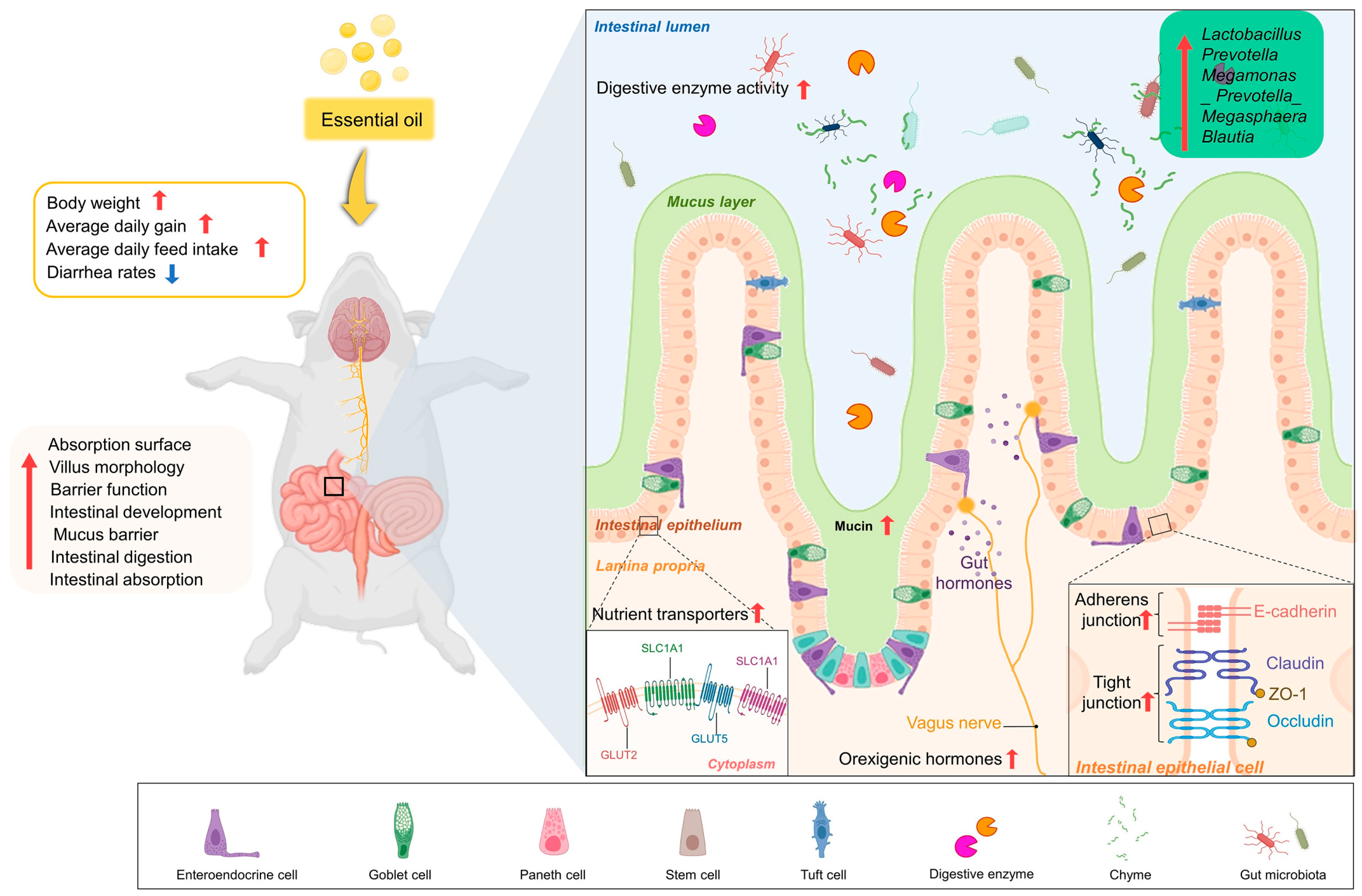Applsci 14 06882 g006