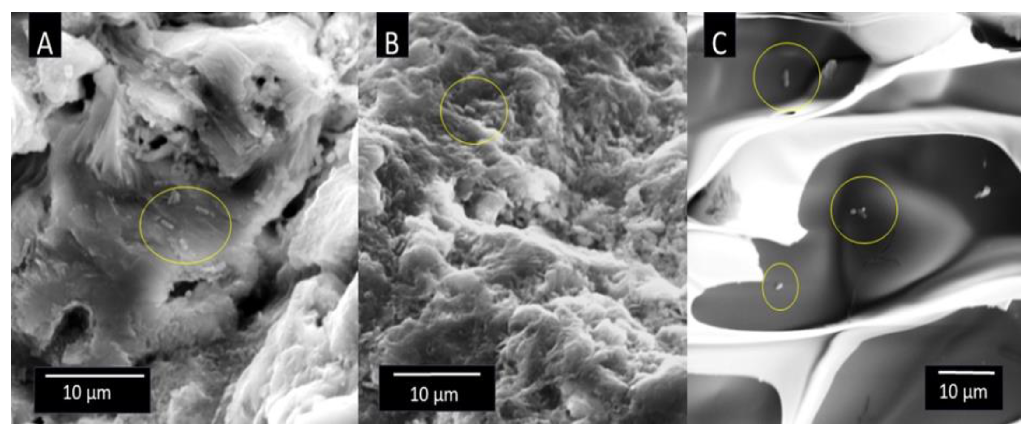 Applsci 14 06883 g003